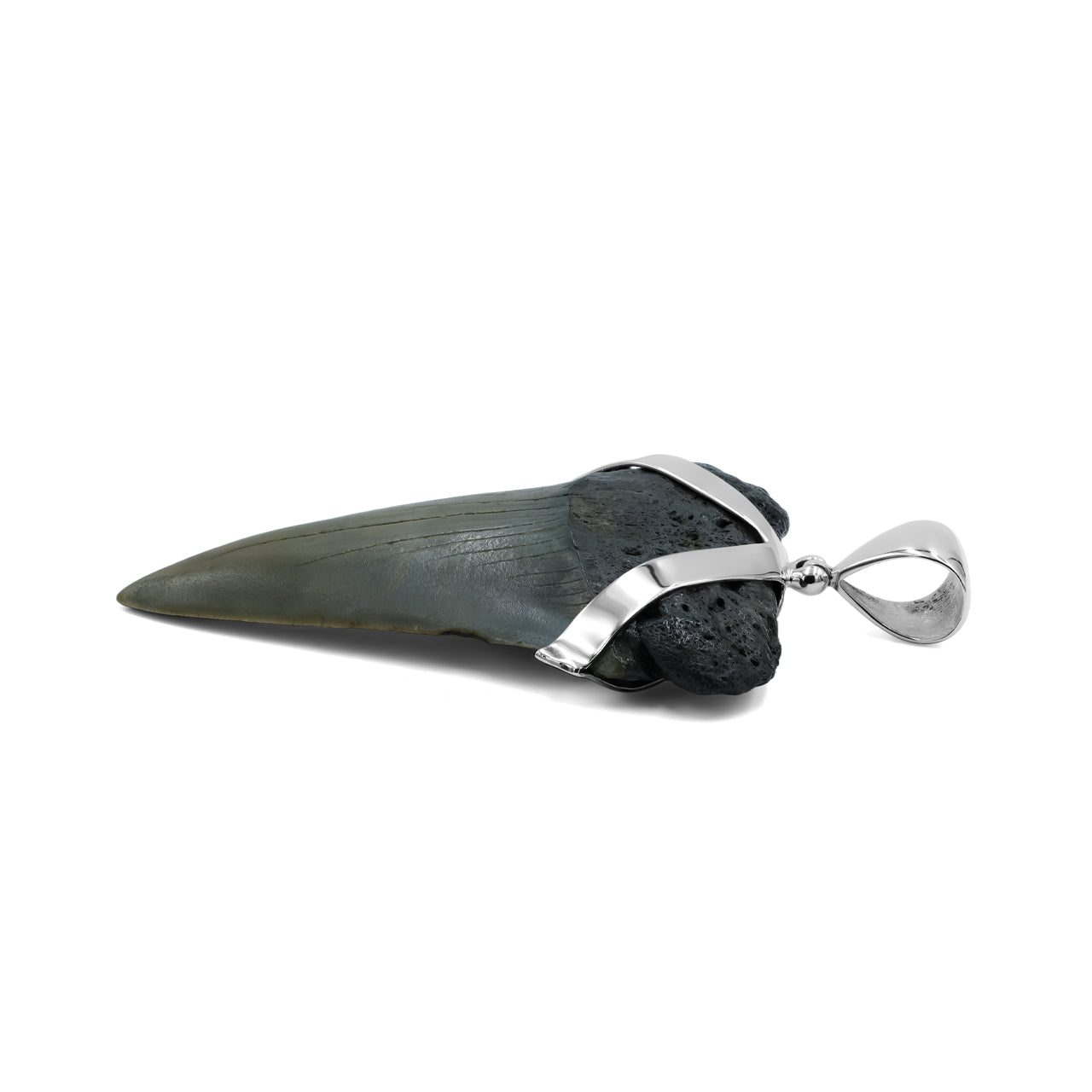 Starborn Dark Fossil Shark Tooth Sterling Silver Pendant