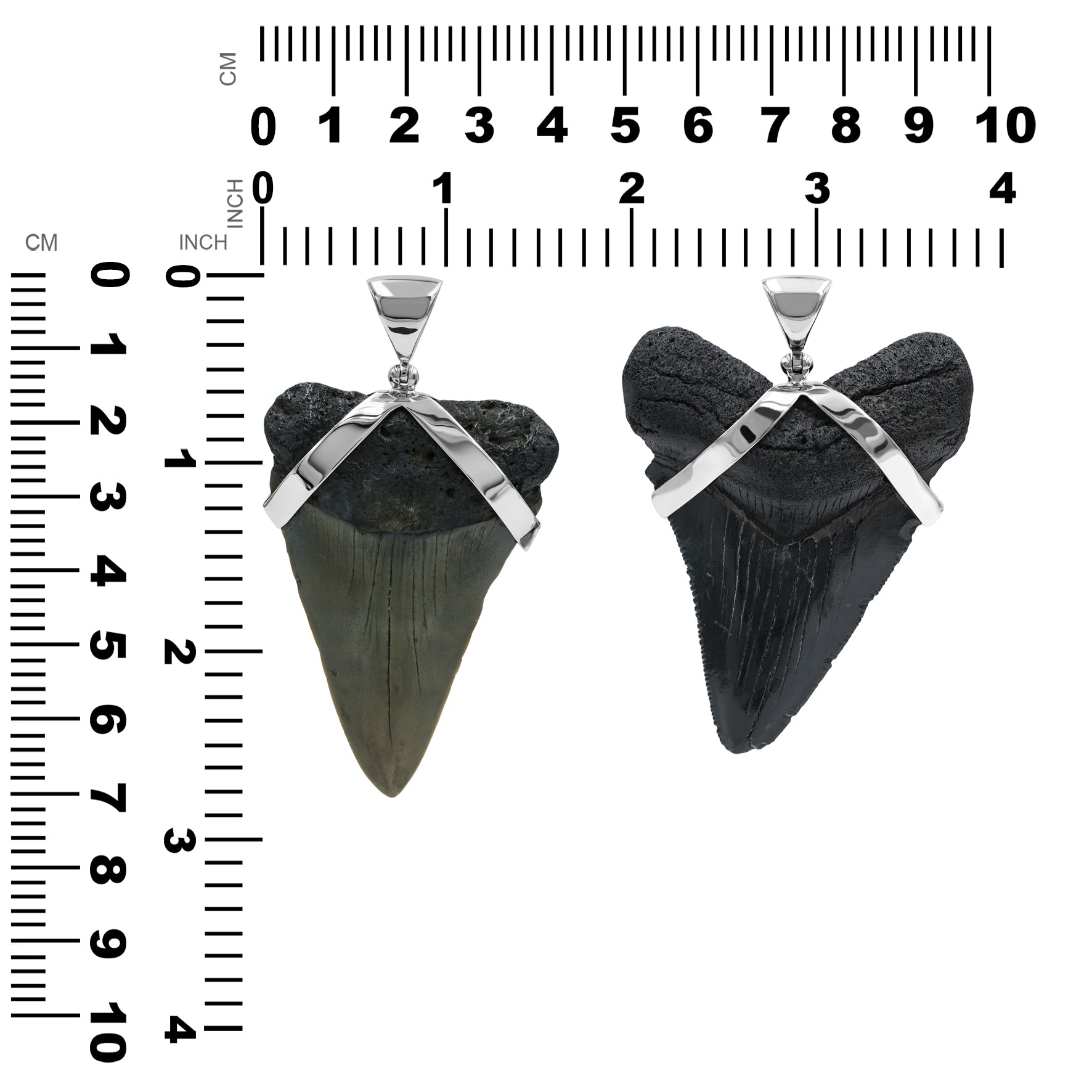 Starborn Dark Fossil Shark Tooth Sterling Silver Pendant