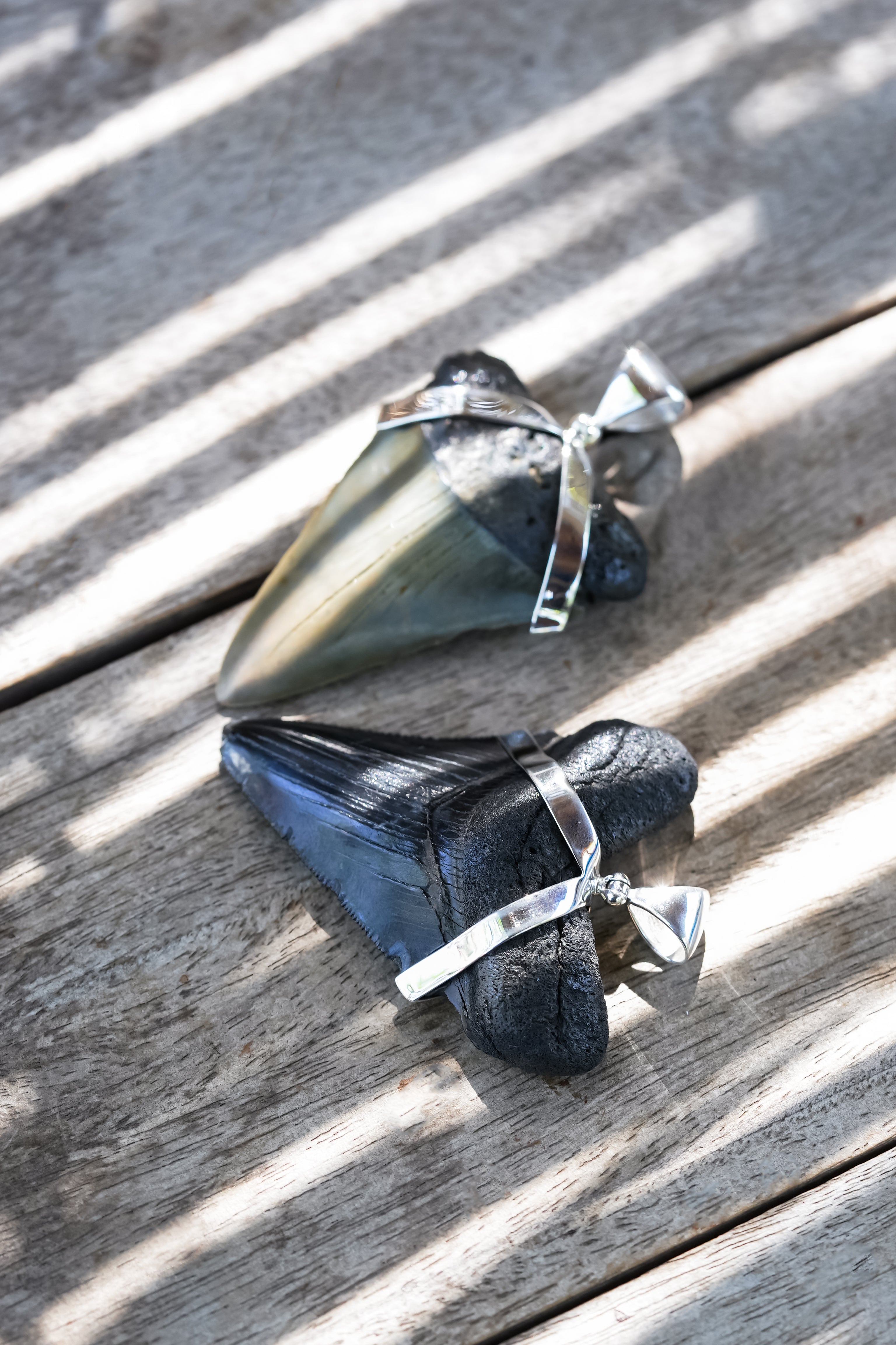 Starborn Dark Fossil Shark Tooth Sterling Silver Pendant