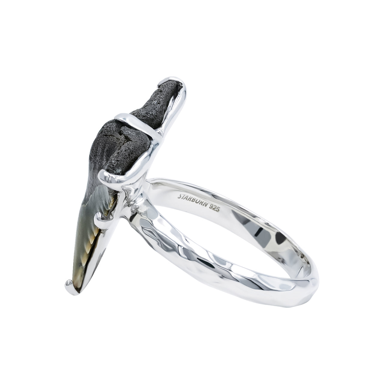 Starborn Fossil Shark Tooth Ring in Fine Sterling Silver