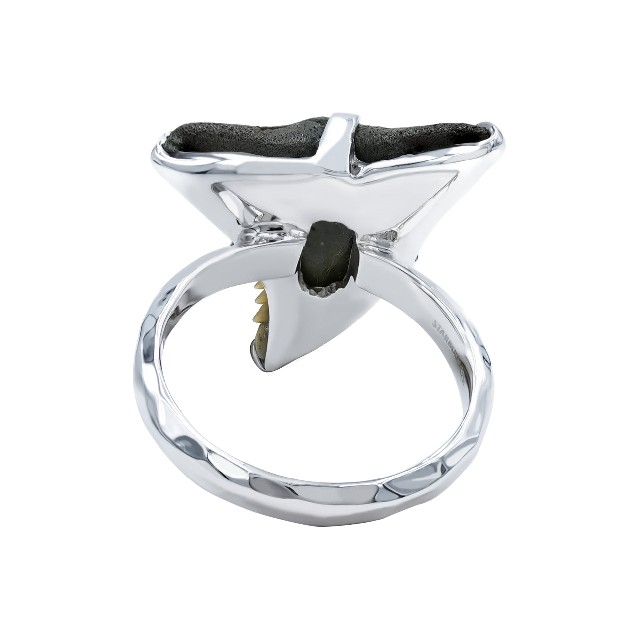 Starborn Fossil Shark Tooth Ring in Fine Sterling Silver