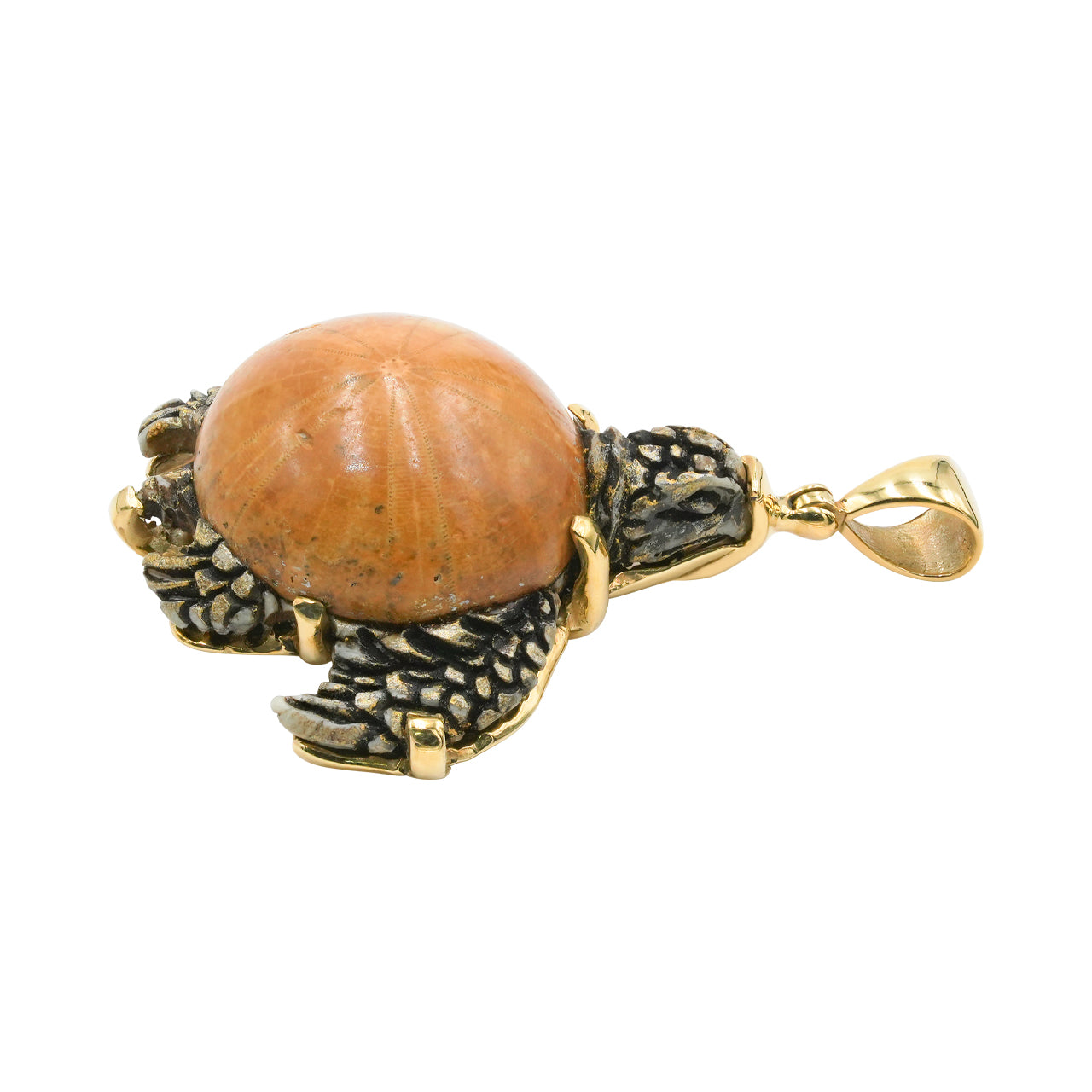 Starborn Fossil Sea Urchin Tutrle Carving Pendant in Nordic Gold