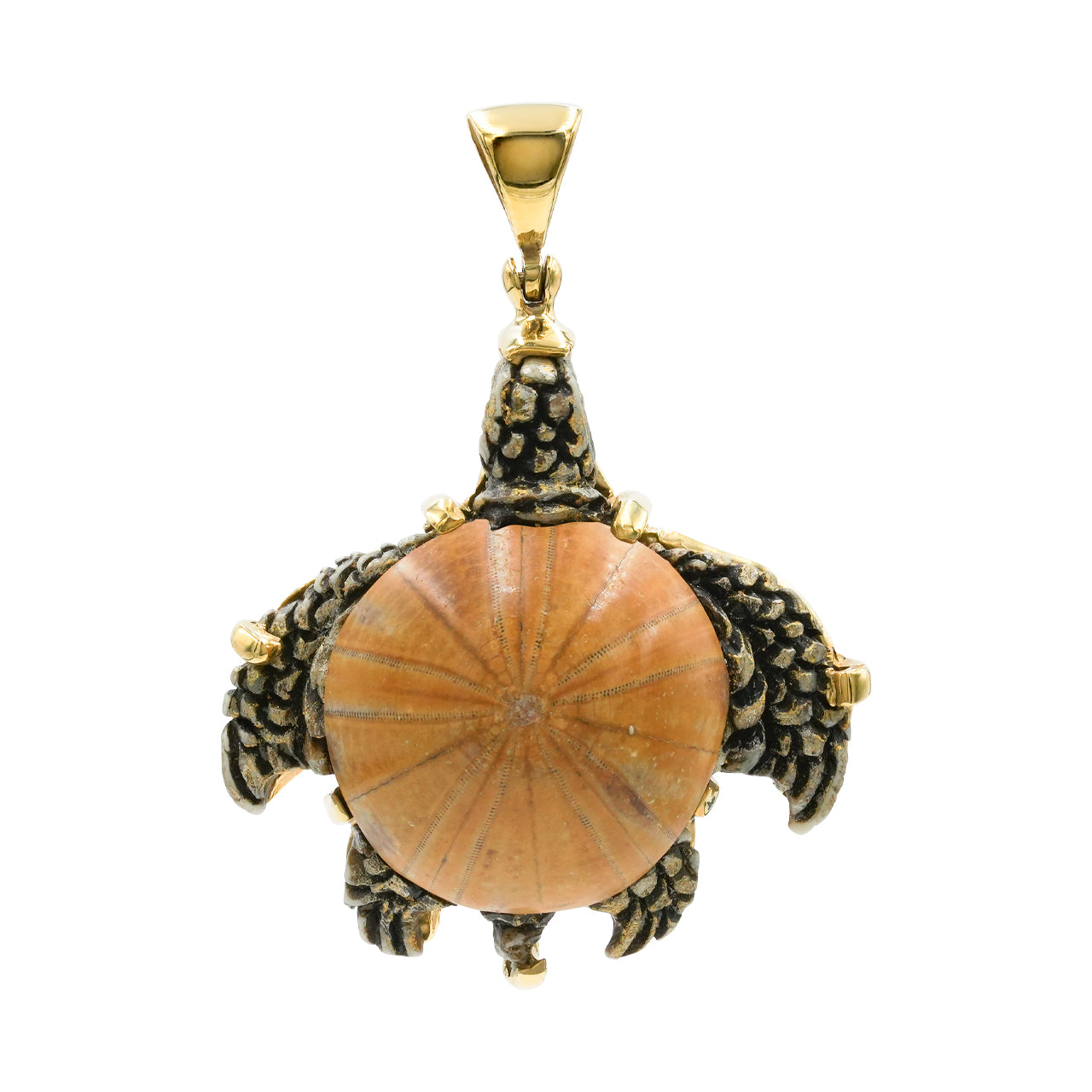 Starborn Fossil Sea Urchin Tutrle Carving Pendant in Nordic Gold