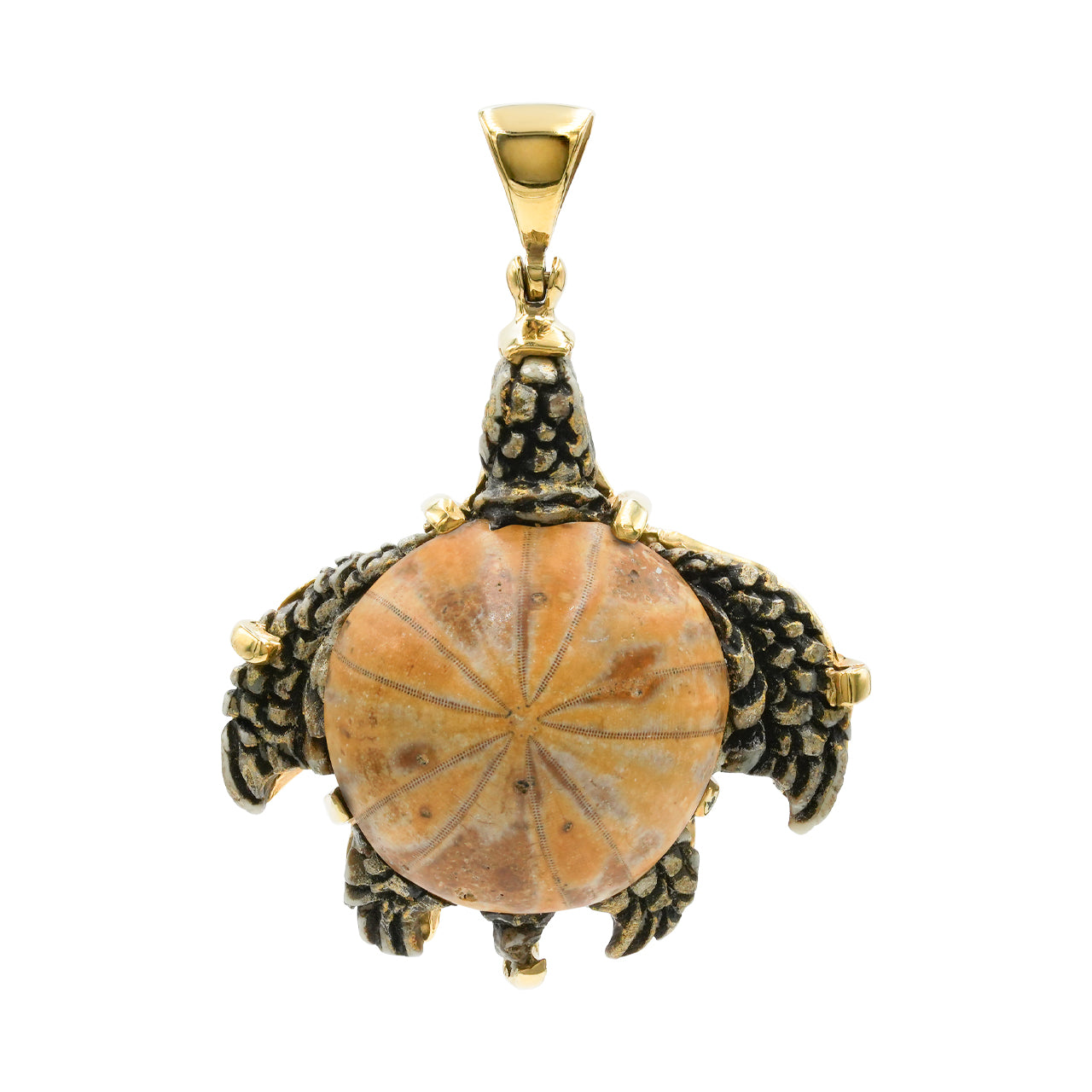 Starborn Fossil Sea Urchin Tutrle Carving Pendant in Nordic Gold
