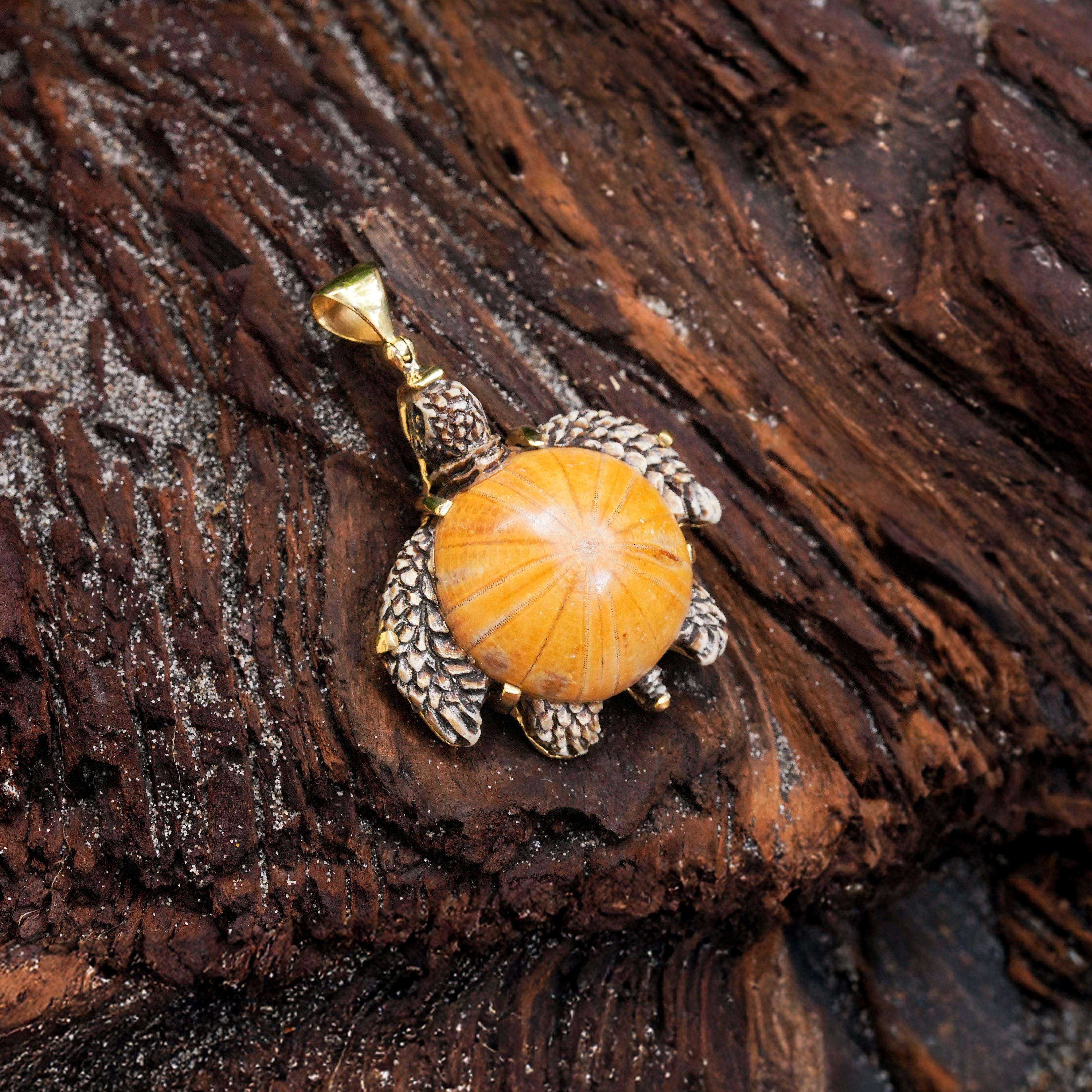 Starborn Fossil Sea Urchin Tutrle Carving Pendant in Nordic Gold