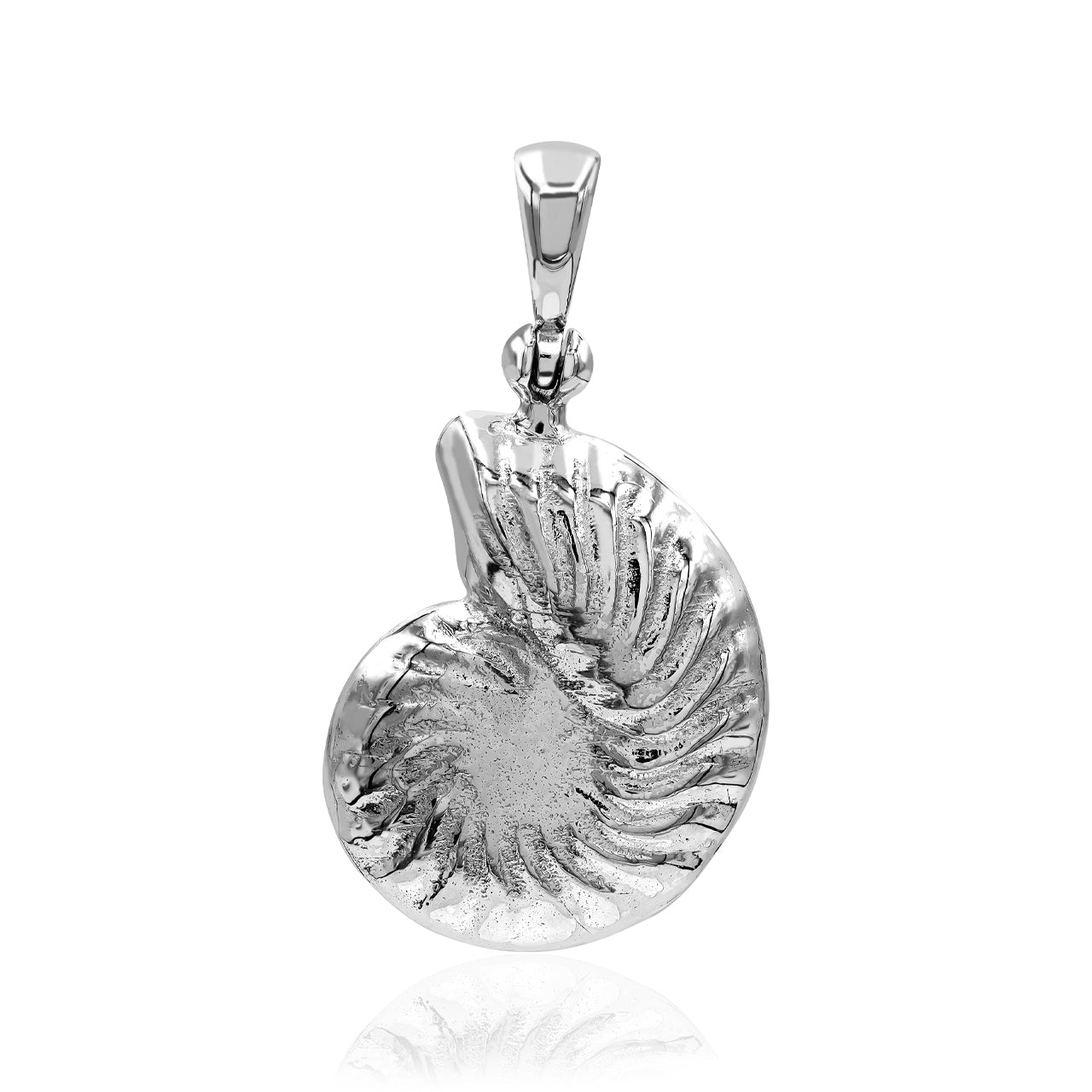 Starborn Hackmanite Inlay Nautilus Ammonite Pendant in Sterling Silver