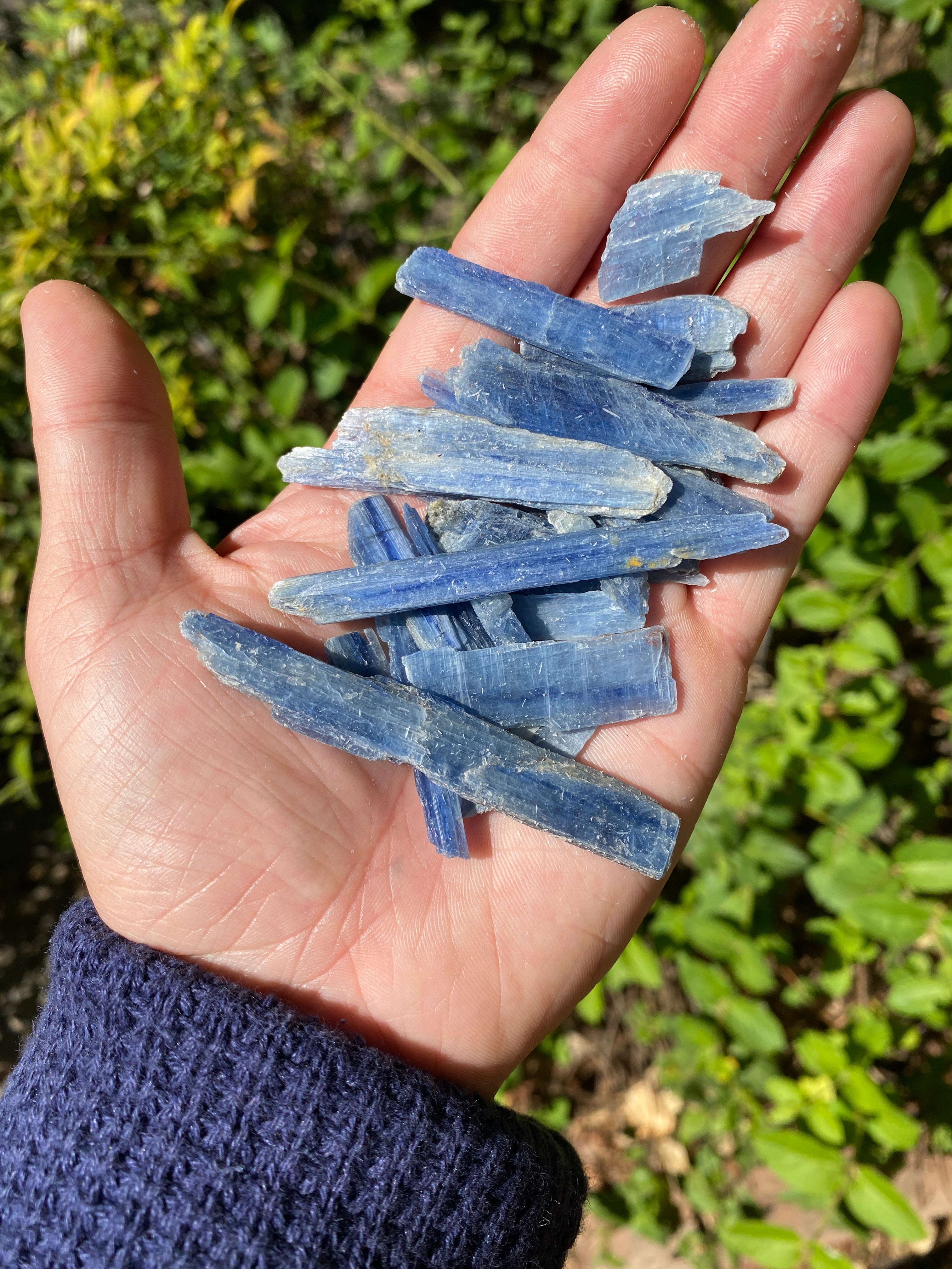 Starborn Blue Kyanite Blades 200 grams - LOT