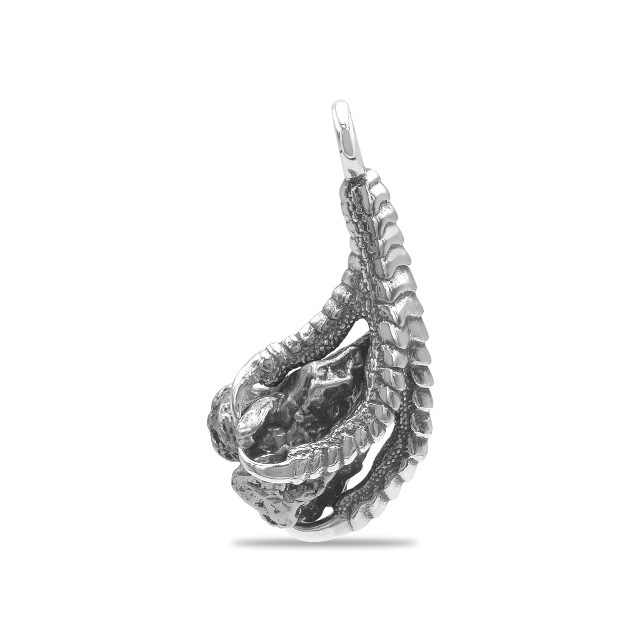 Starborn Campo del Cielo Meteorite Eagle Claw Pendant in Sterling Silver