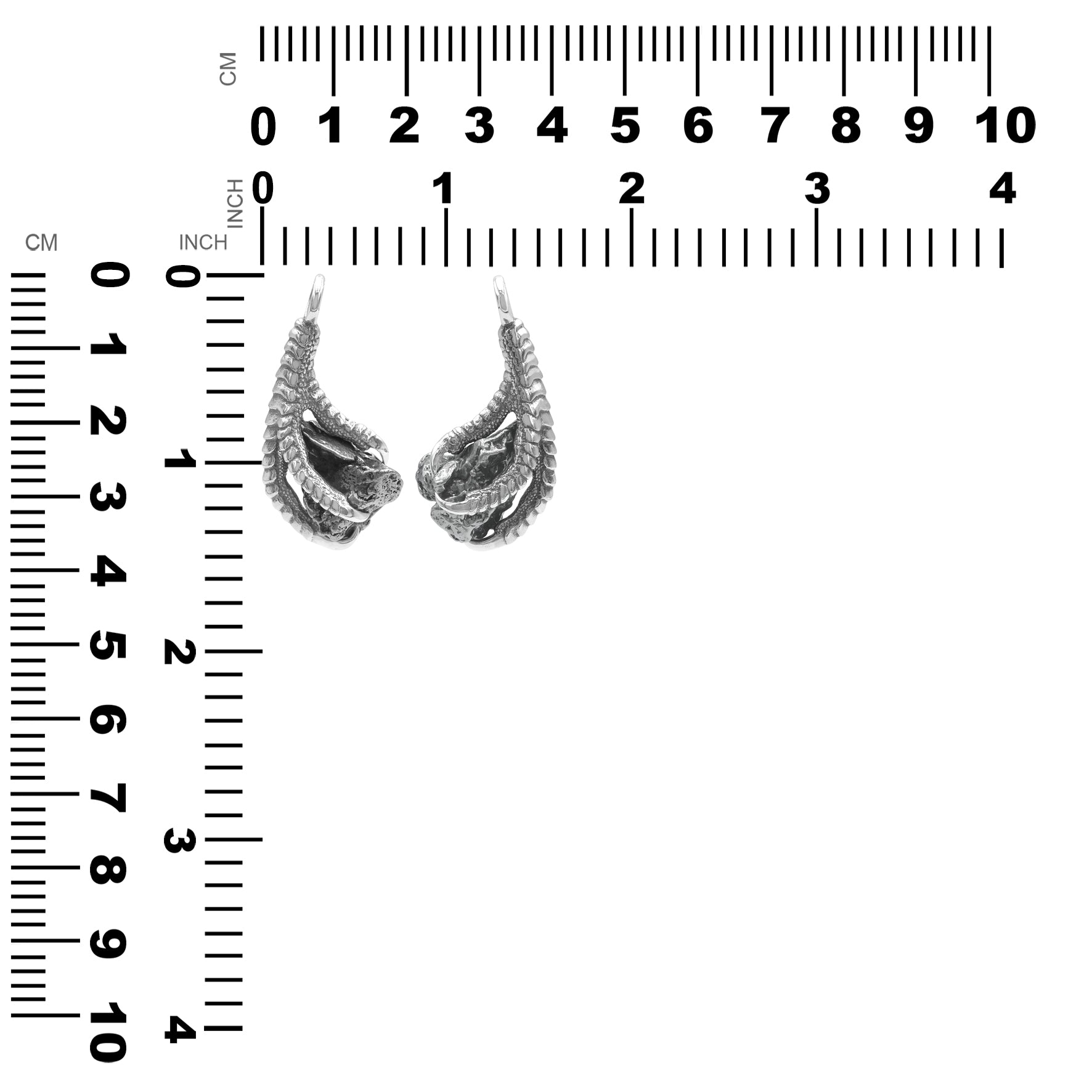 Starborn Campo del Cielo Meteorite Eagle Claw Pendant in Sterling Silver