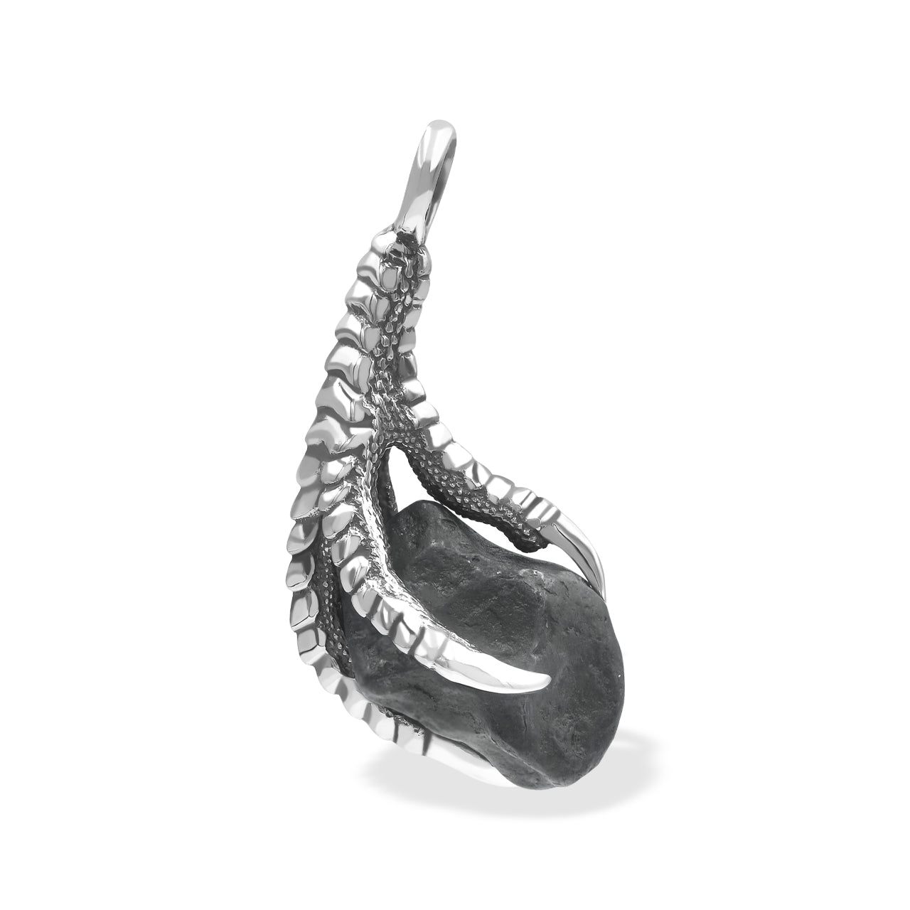 Starborn Agoudal Iron Meteorite Eagle Claw Pendant in Sterling Silver