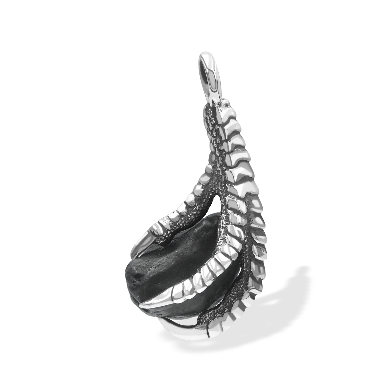 Starborn Agoudal Iron Meteorite Eagle Claw Pendant in Sterling Silver