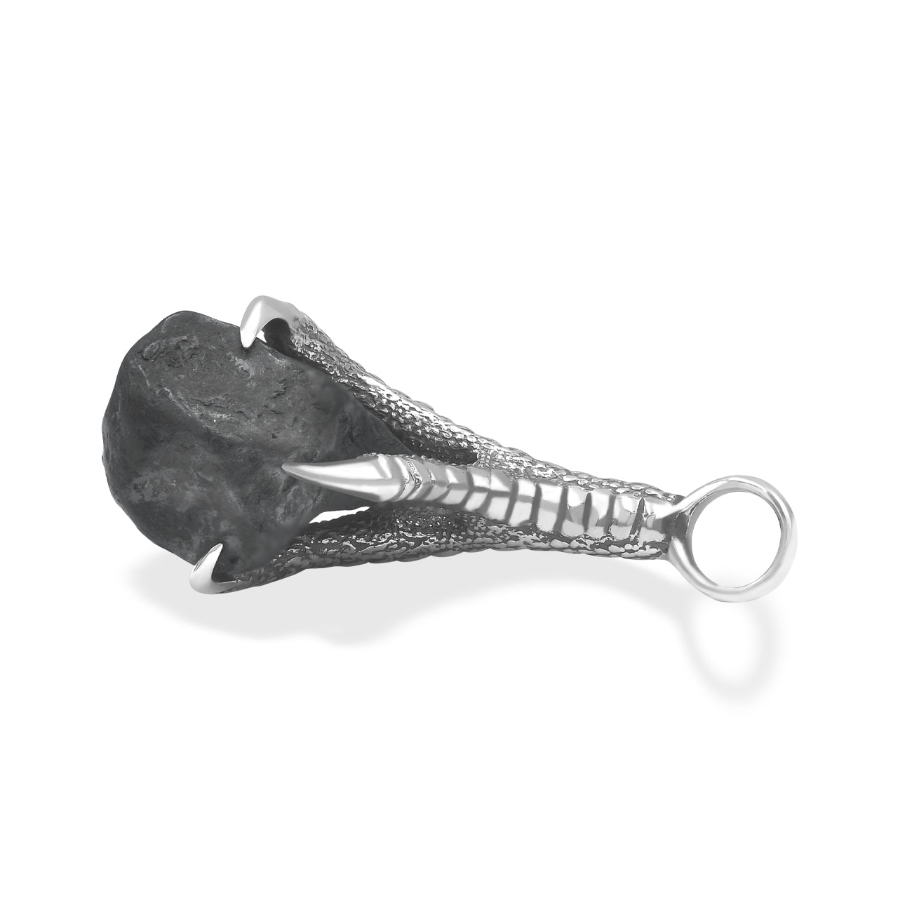 Starborn Agoudal Iron Meteorite Eagle Claw Pendant in Sterling Silver