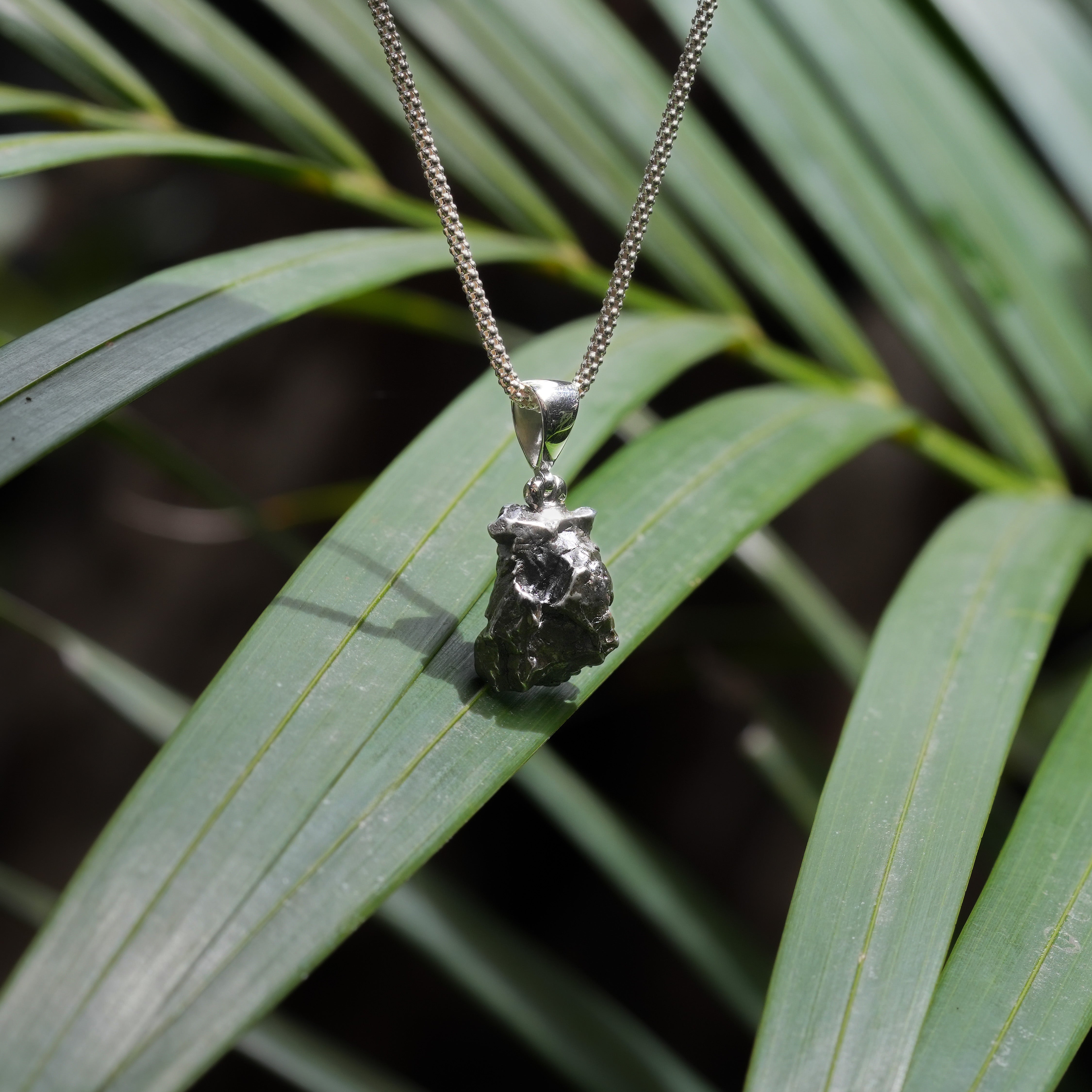 Starborn Campo del Cielo Meteorite Pendant in Sterling Silver