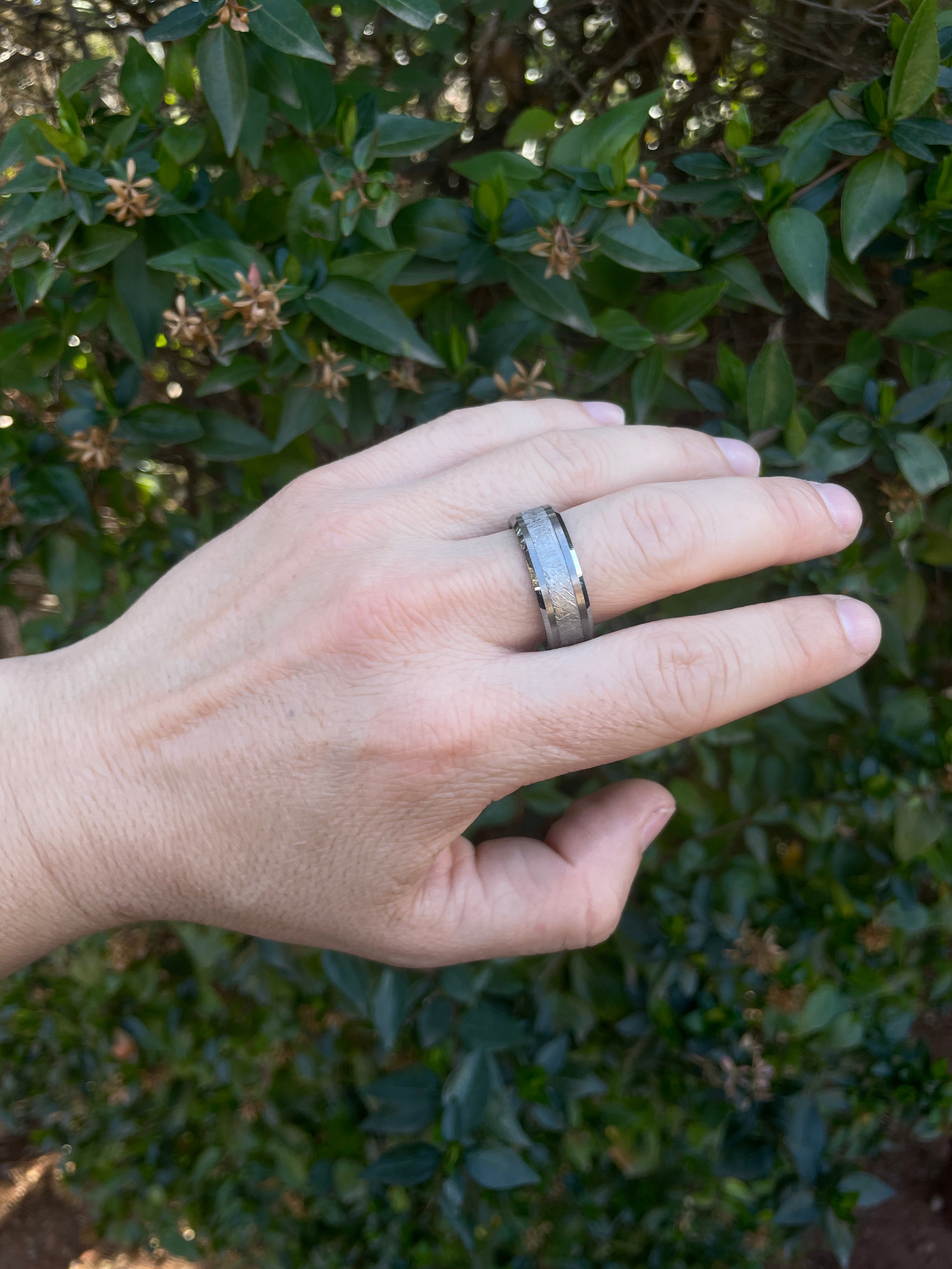 Starborn Aletai Meteorite Men's Tungsten Ring 8mm