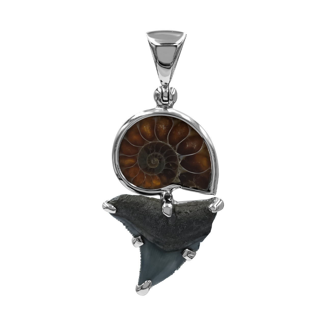 Ammonite & Fossil Shark Tooth Pendant