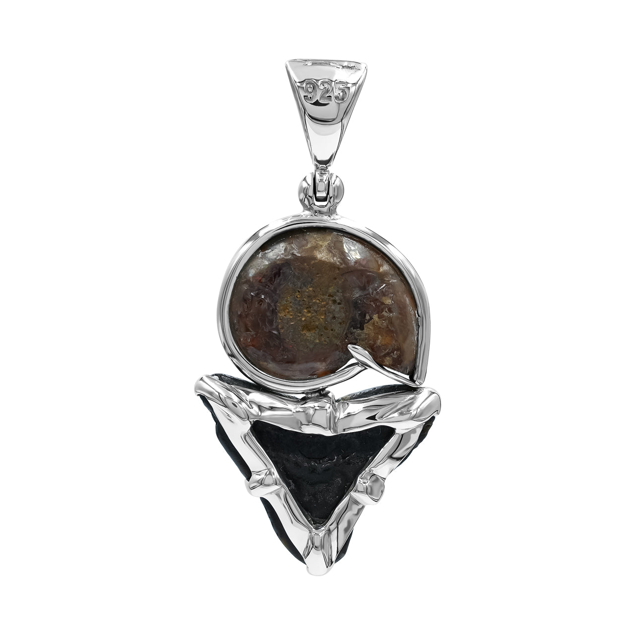 Ammonite & Fossil Shark Tooth Pendant