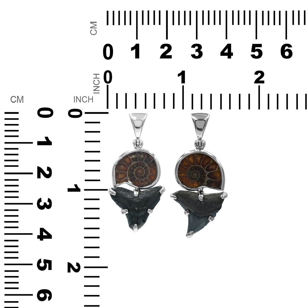 Ammonite & Fossil Shark Tooth Pendant