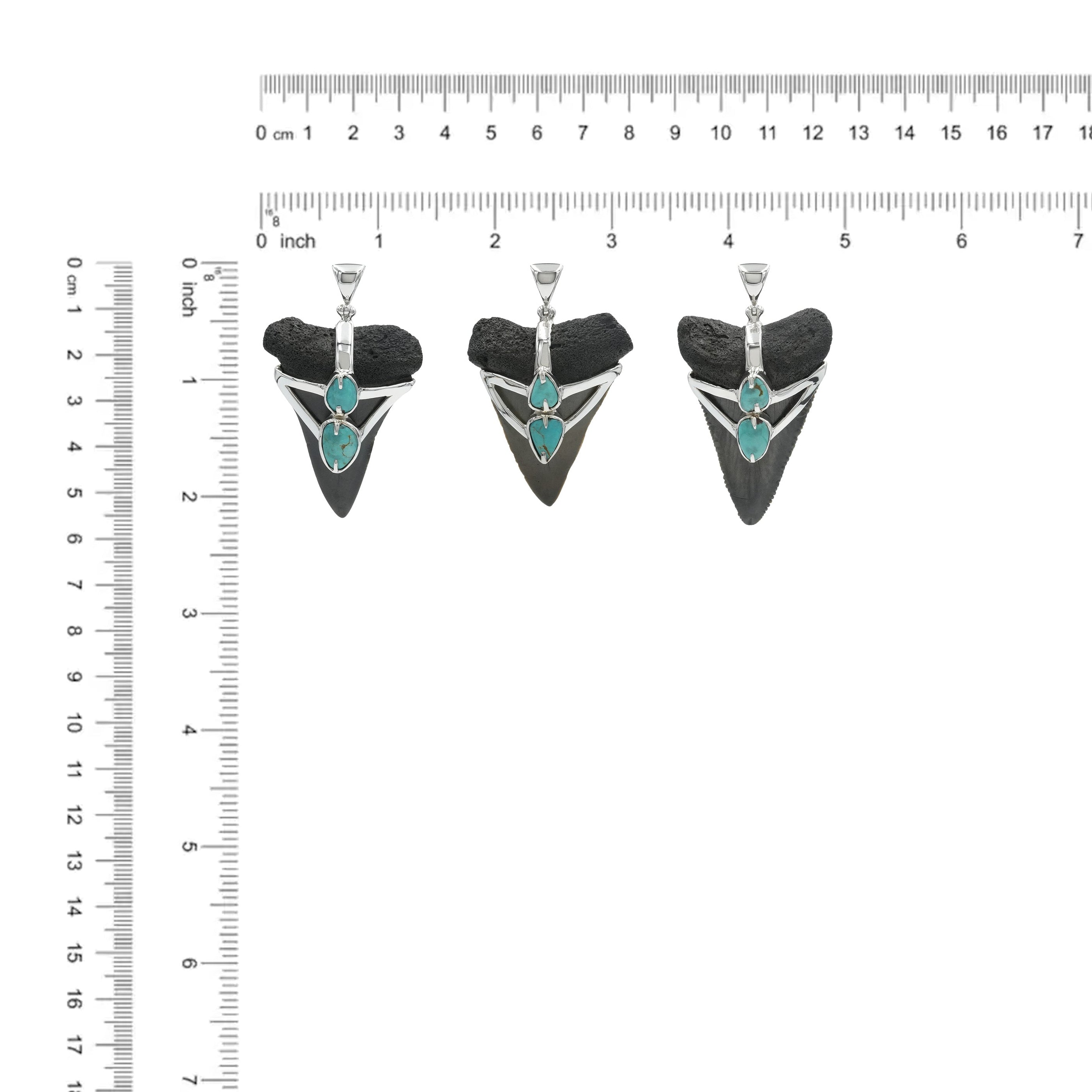 Starborn Fossil Shark Tooth with Dual Turquoise V-Wrap Setting Pendant in Sterling Silver