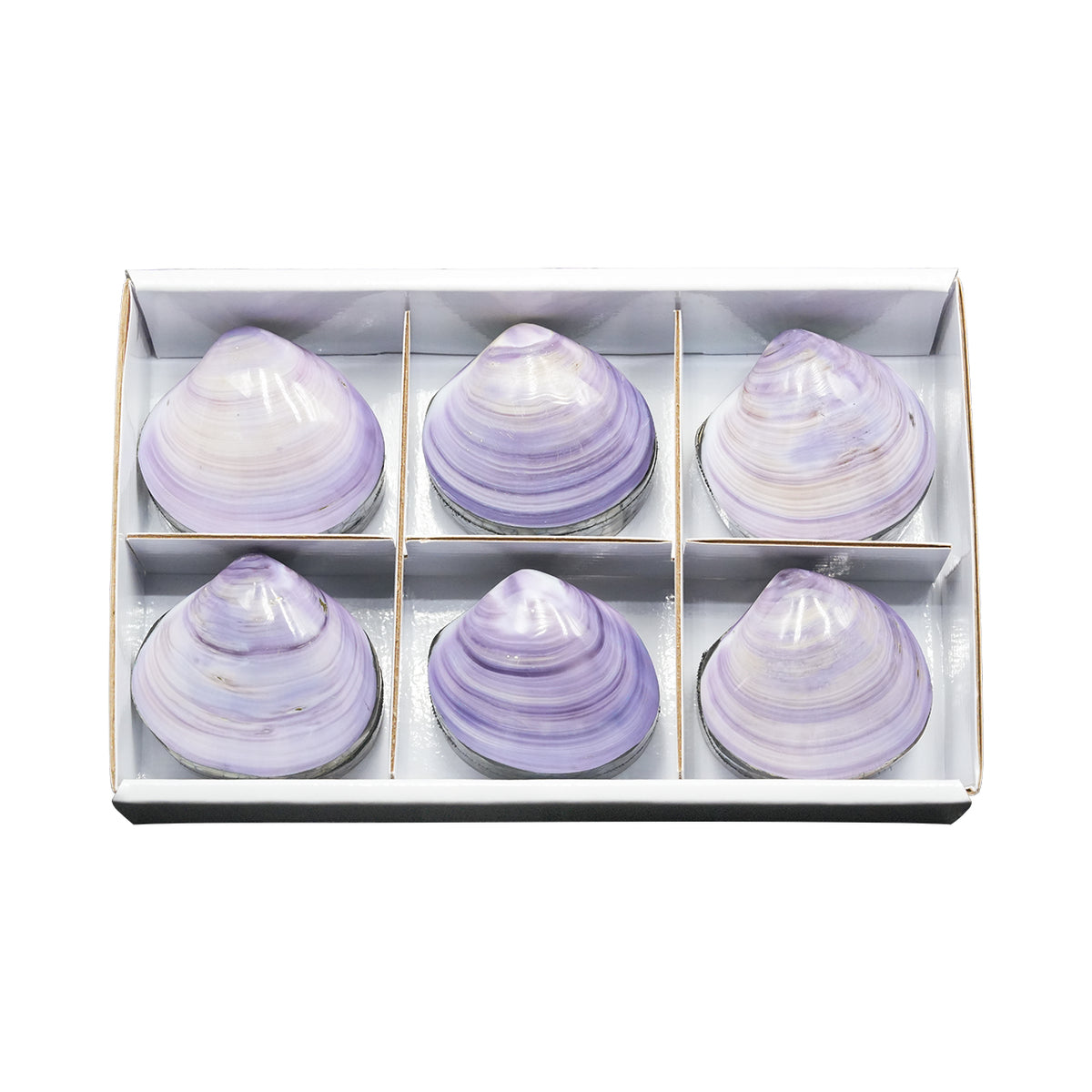 Starborn Prehnit Handschmeichler flach 350g - 6 Stück