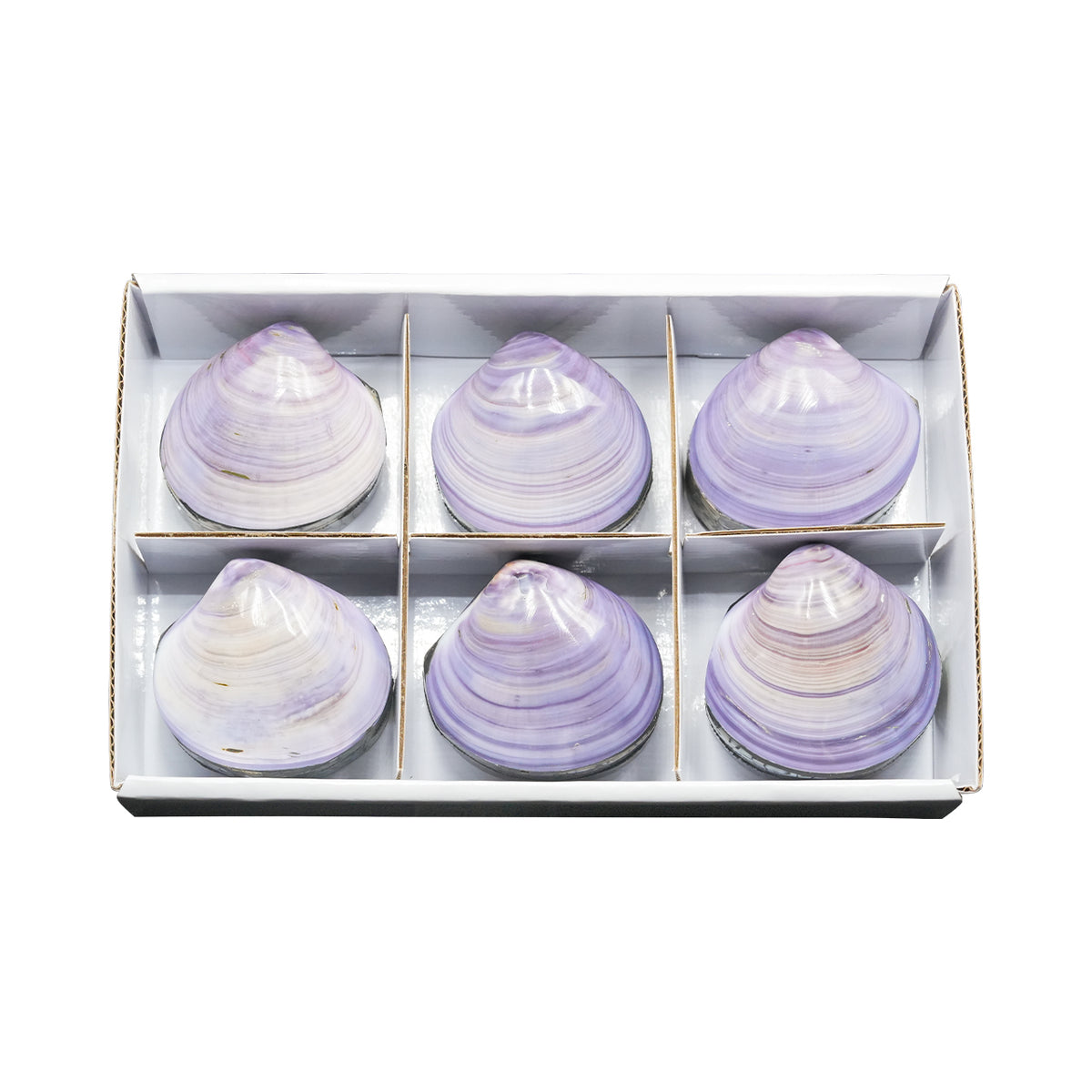 Starborn Prehnit Handschmeichler flach 350g - 6 Stück