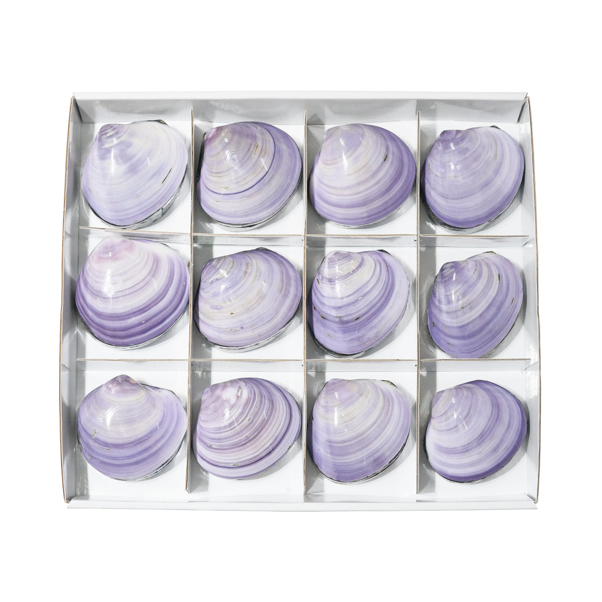 Starborn Prehnit Handschmeichler flach 350g - 6 Stück