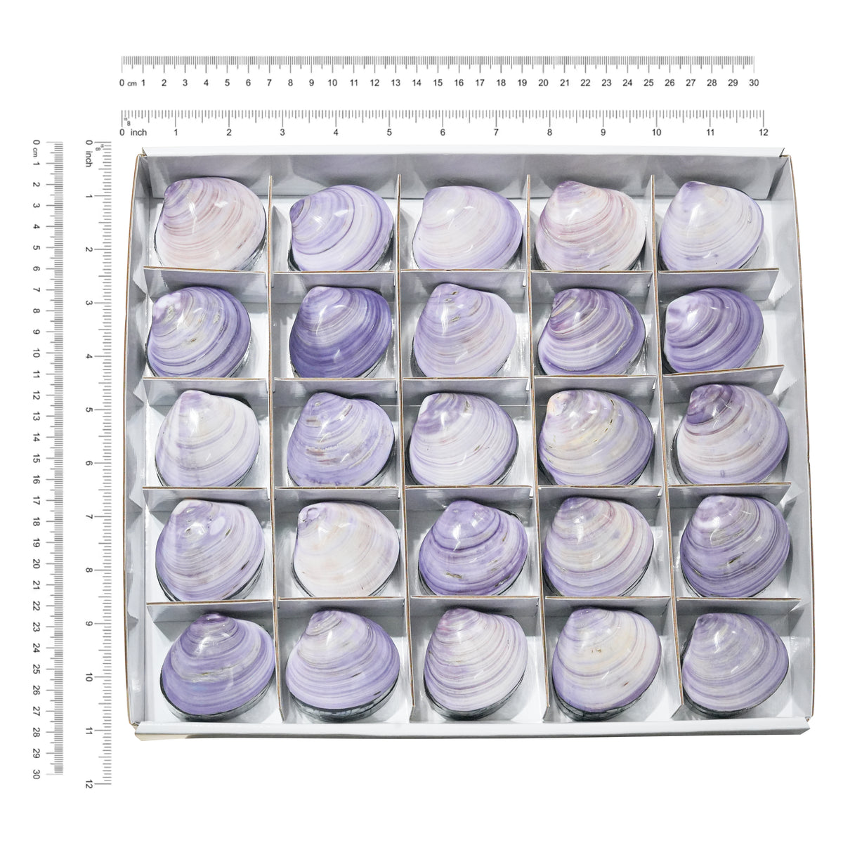 Starborn Prehnit Handschmeichler flach 350g - 6 Stück