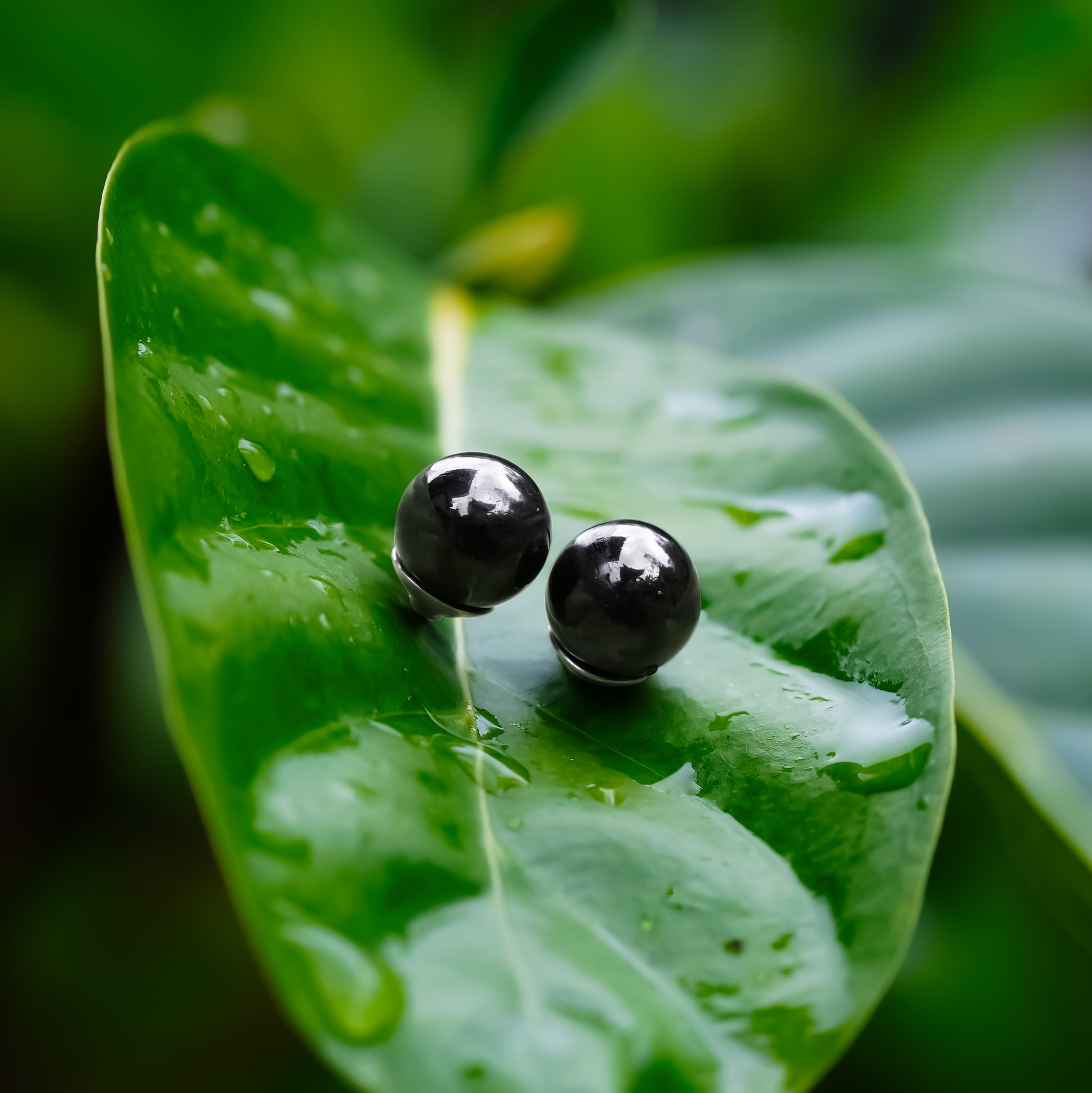 Starborn Elite Shungite Sphere Post Earrings in Sterling Silver