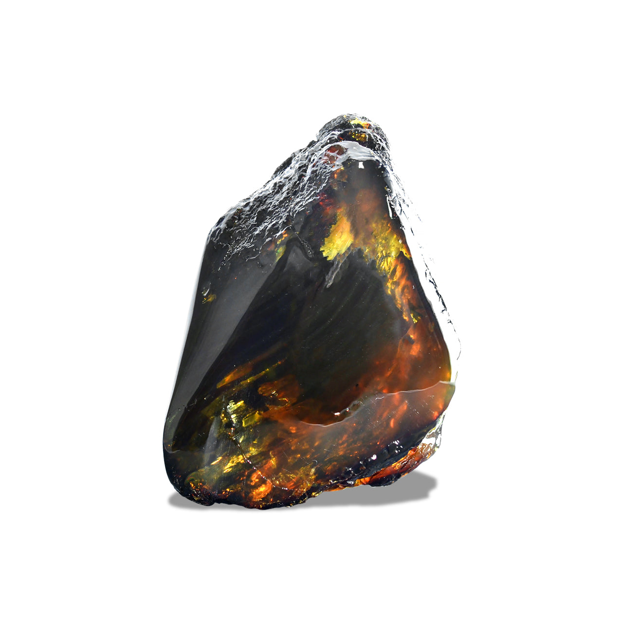 Starborn Sumatra Lion's Mane Amber (80-100 grams) – 1 Piece