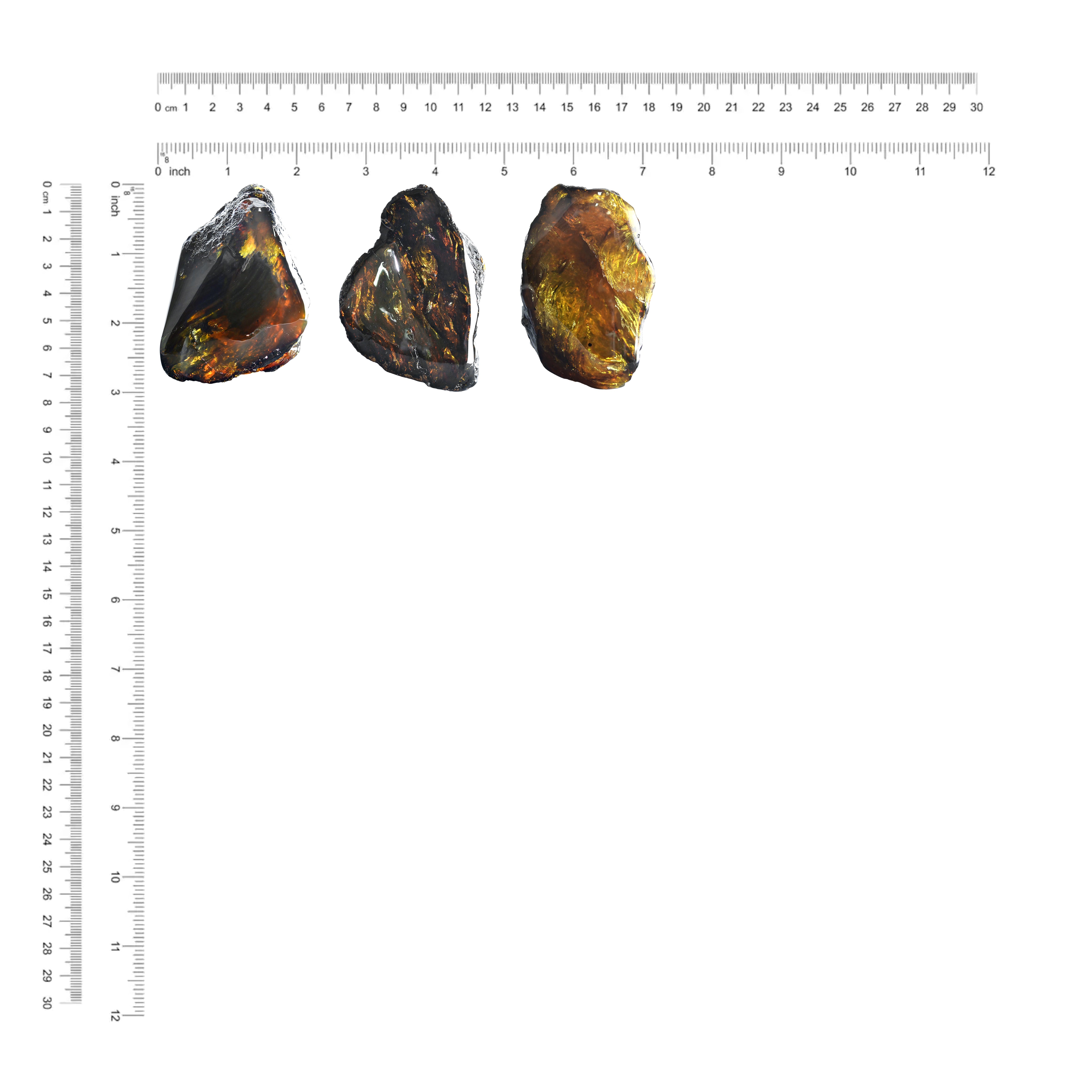 Starborn Sumatra Lion's Mane Amber (80-100 grams) – 1 Piece