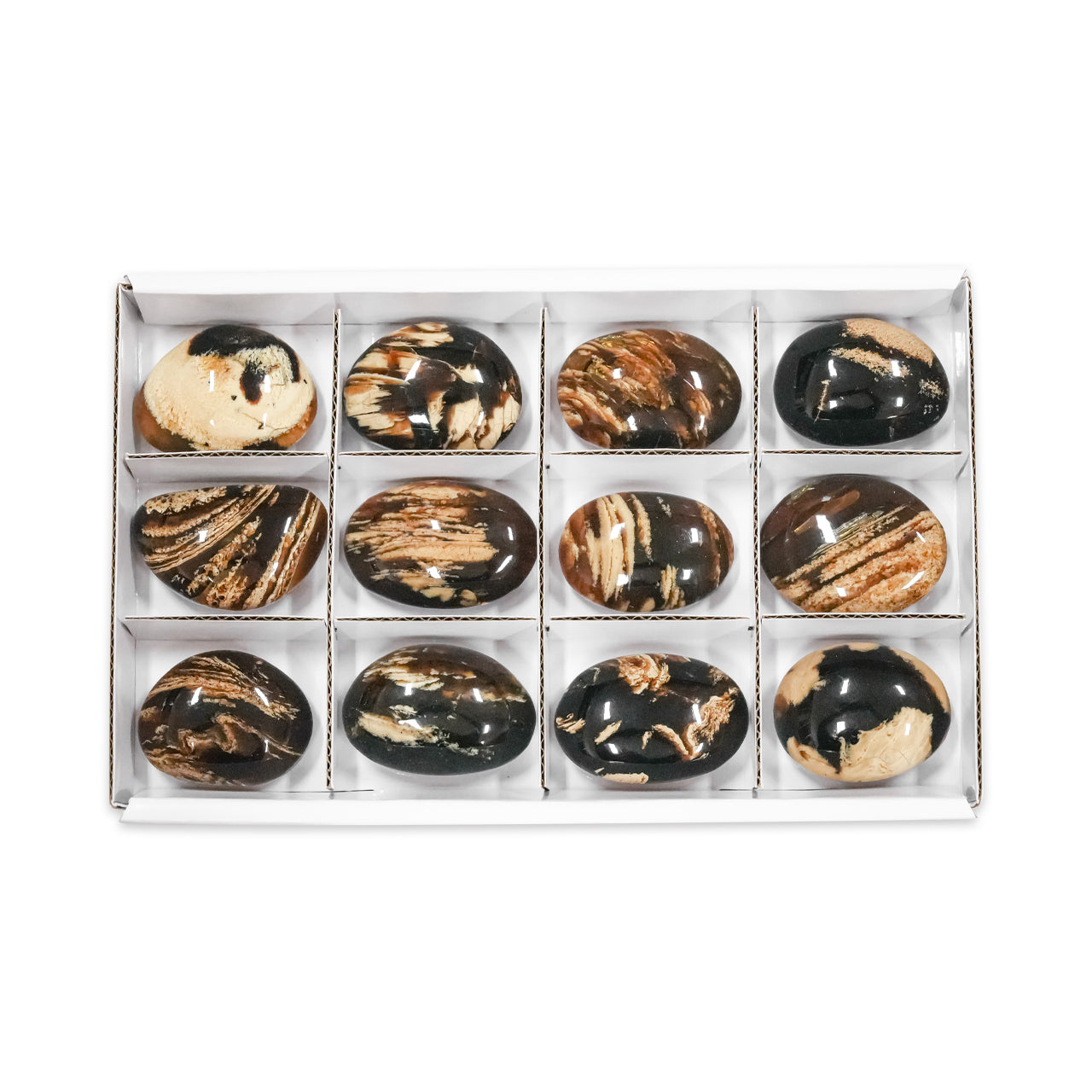 Starborn Leche y Miel Sumatra Ámbar Piedra de Palma de Forma Libre 150 g - 12 piezas