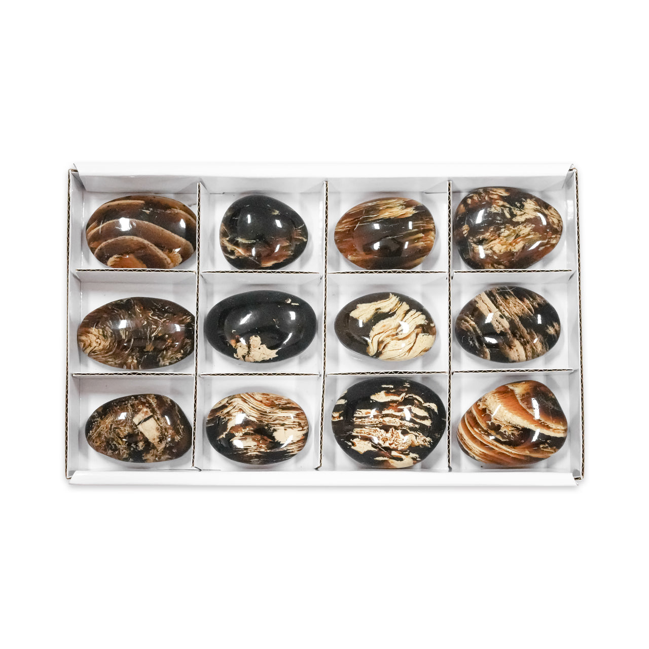 Starborn Leche y Miel Sumatra Ámbar Piedra de Palma de Forma Libre 150 g - 12 piezas