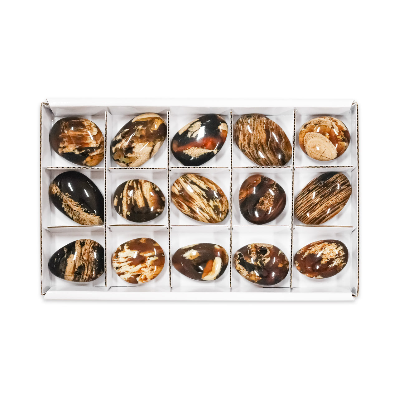 Front view of 15 pcs Milk & Honey Sumatra Amber freeform palm stones arranged in a white box with dividers.
