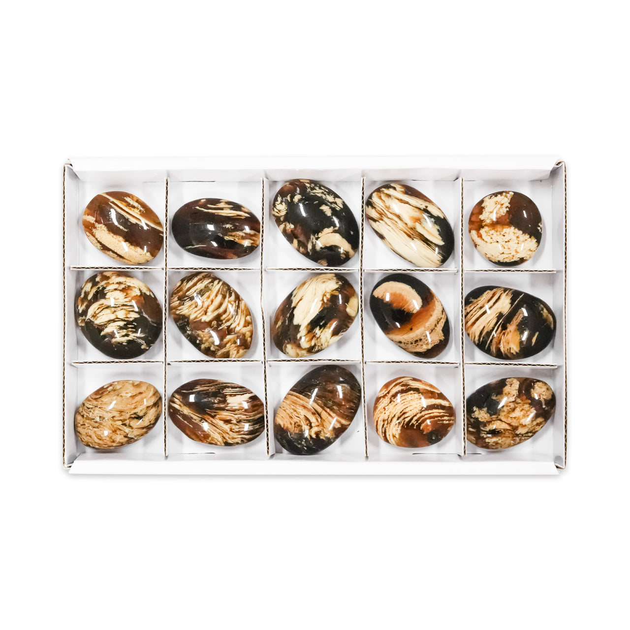 Alternate front view of 15 pcs Milk & Honey Sumatra Amber freeform palm stones arranged in a white box with dividers.