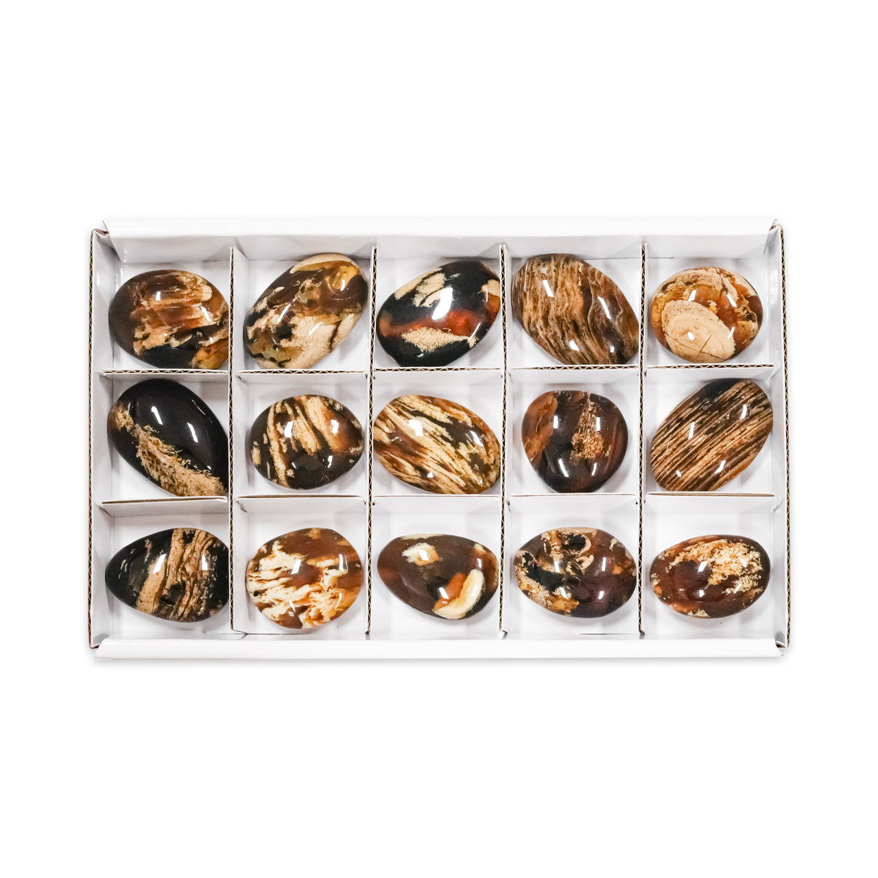 Second alternate front view of 15 pcs Milk & Honey Sumatra Amber freeform palm stones arranged in a white box with dividers.