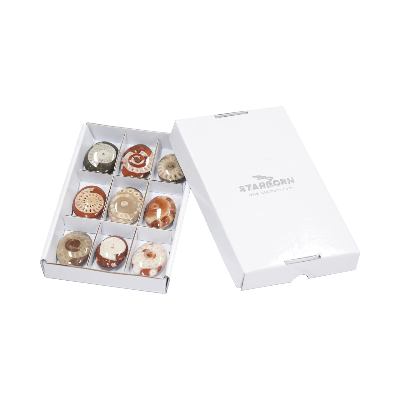 Timor Ammonite Palm Stones 250 grams - 9 pieces