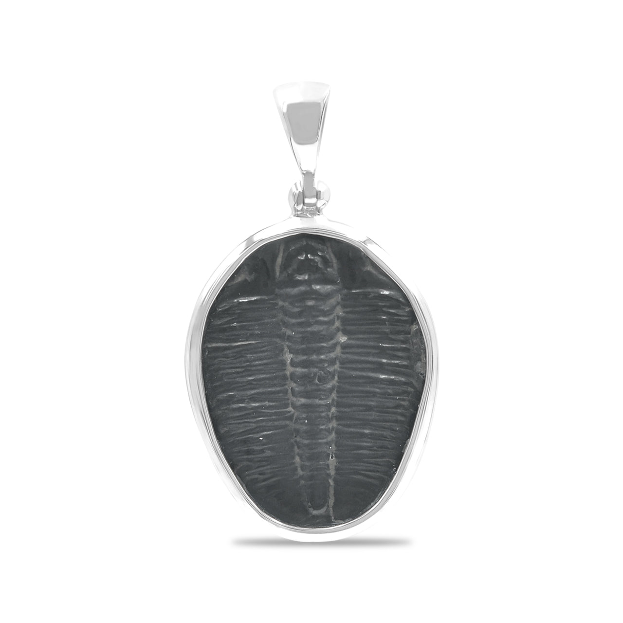 Starborn Fossilized Trilobite Bezel Set Pendant in Sterling Silver
