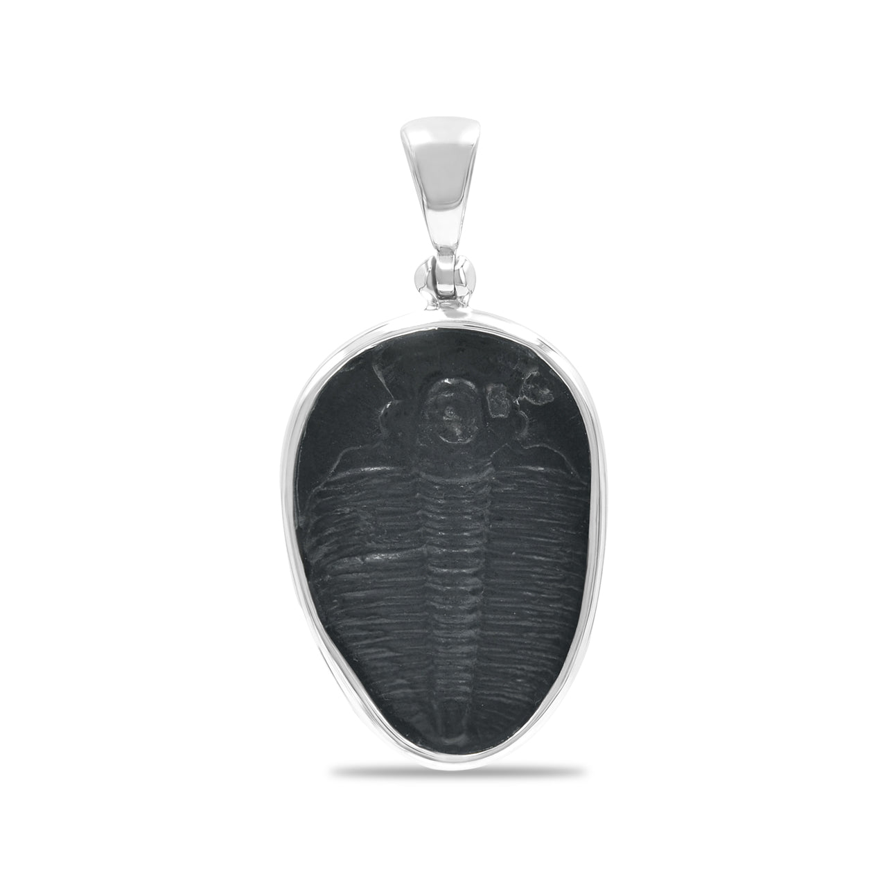 Starborn Fossilized Trilobite Bezel Set Pendant in Sterling Silver