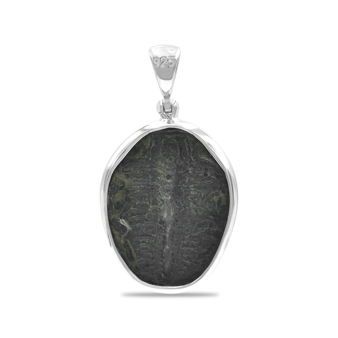 Starborn Fossilized Trilobite Bezel Set Pendant in Sterling Silver