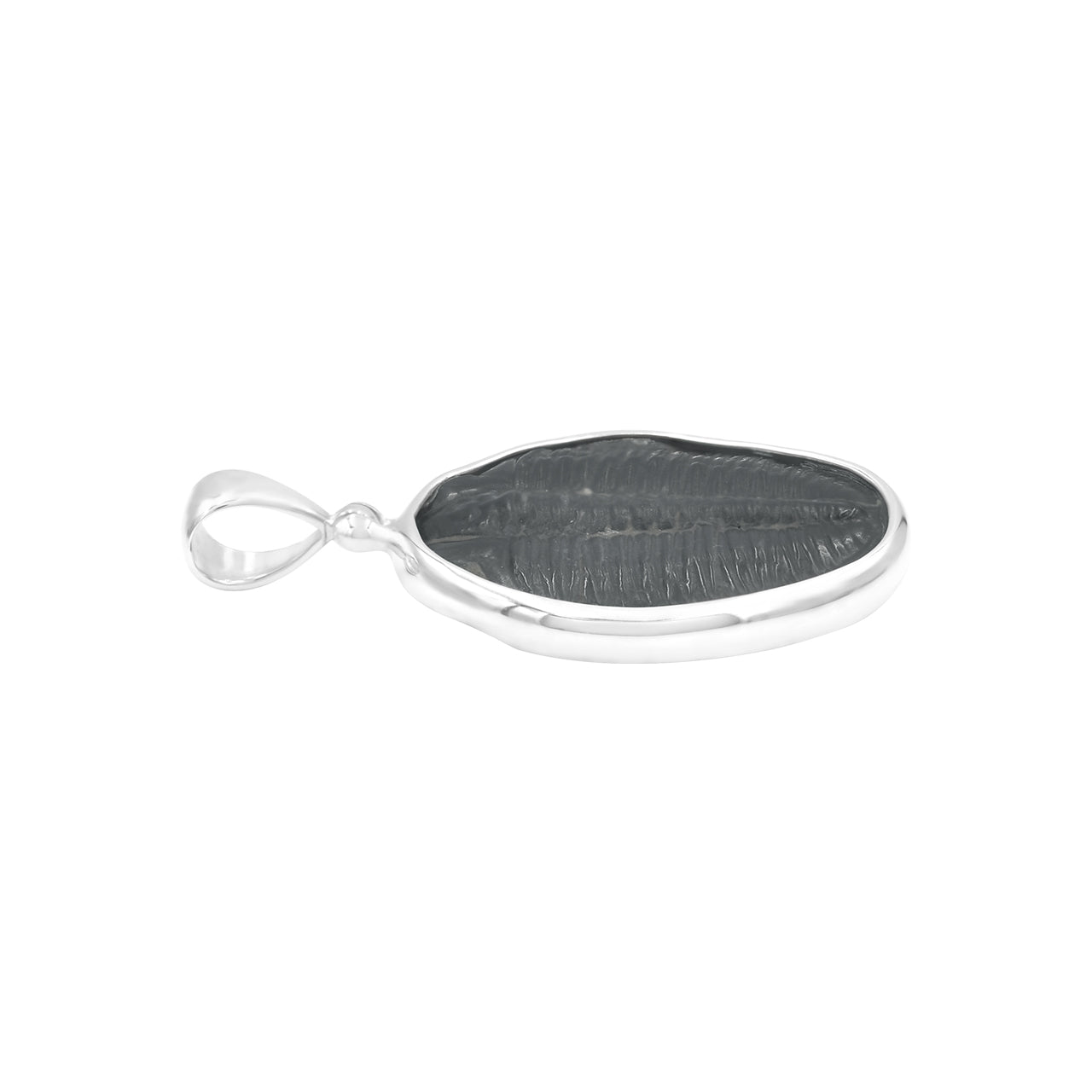 Starborn Fossilized Trilobite Bezel Set Pendant in Sterling Silver