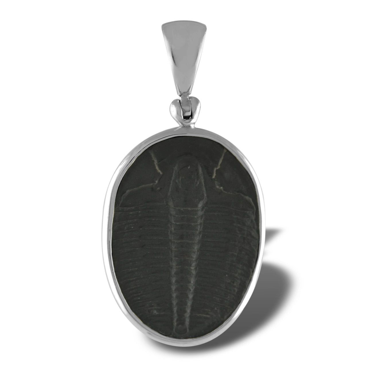Starborn Fossilized Trilobite Bezel Set Pendant in Sterling Silver