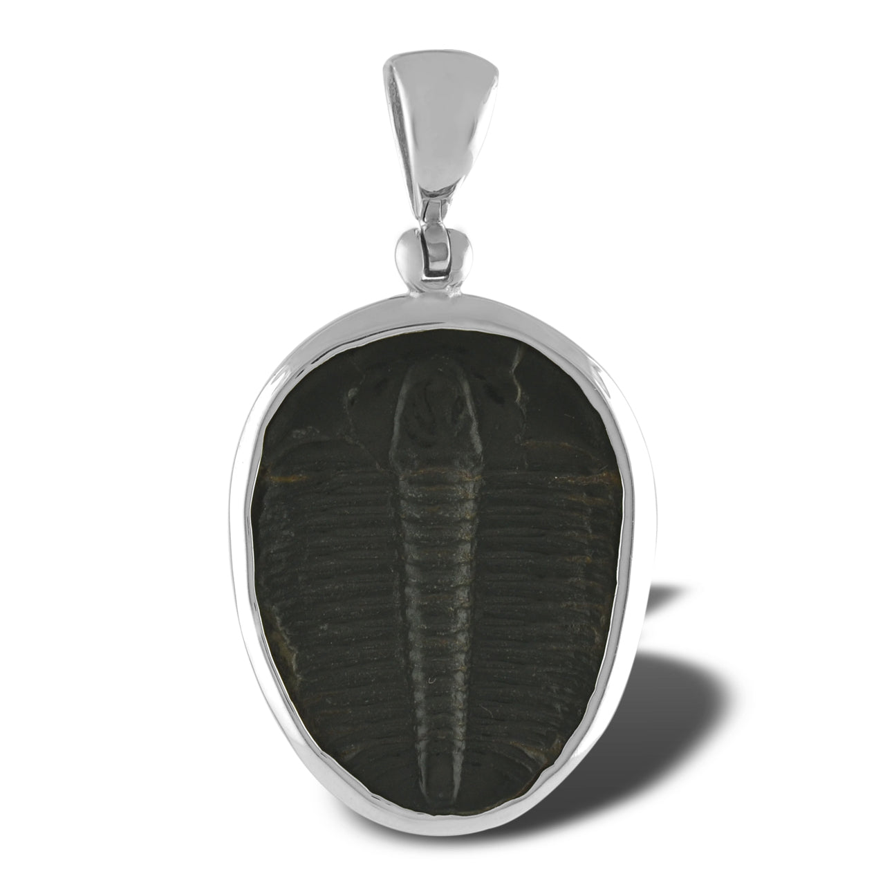 Starborn Fossilized Trilobite Bezel Set Pendant in Sterling Silver