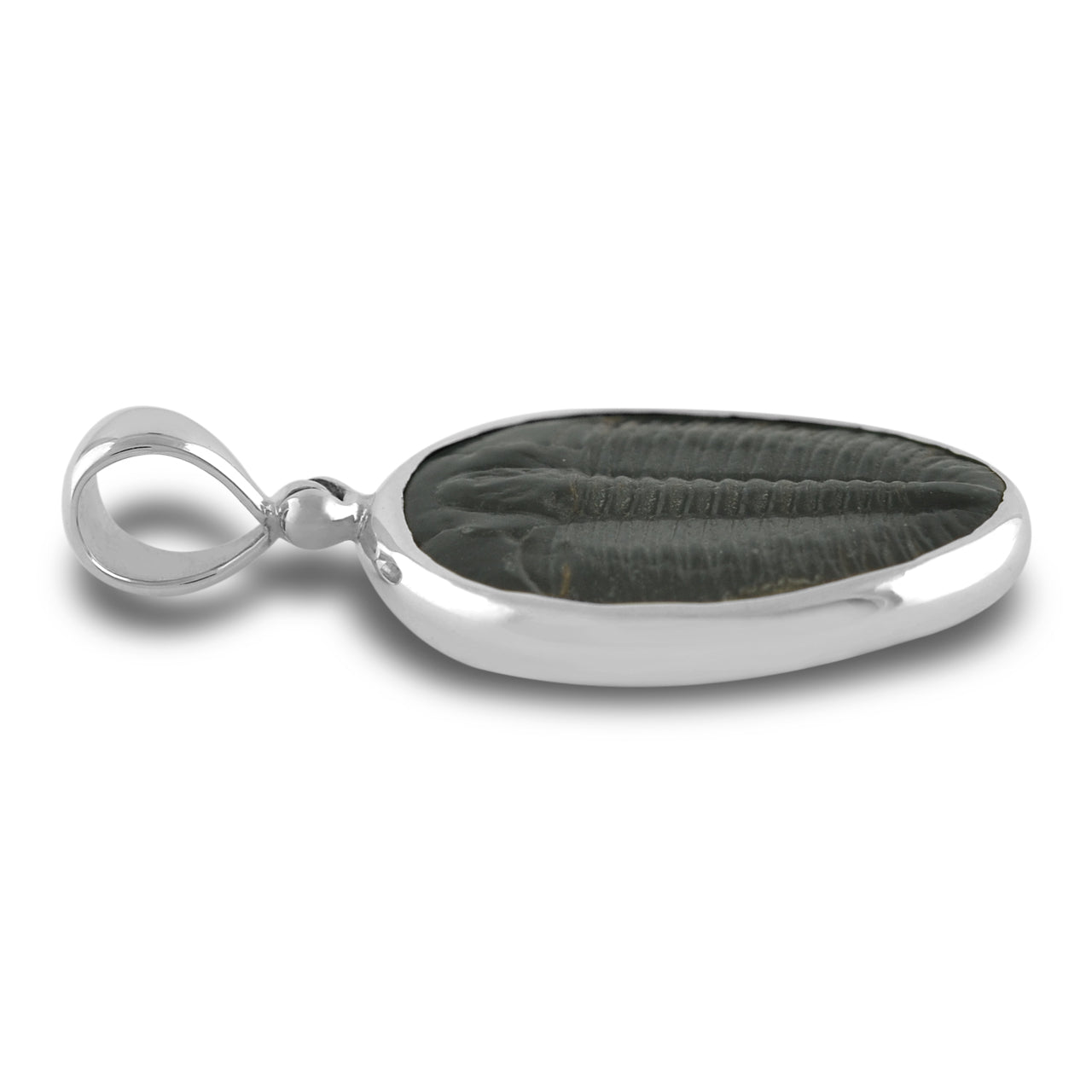 Starborn Fossilized Trilobite Bezel Set Pendant in Sterling Silver