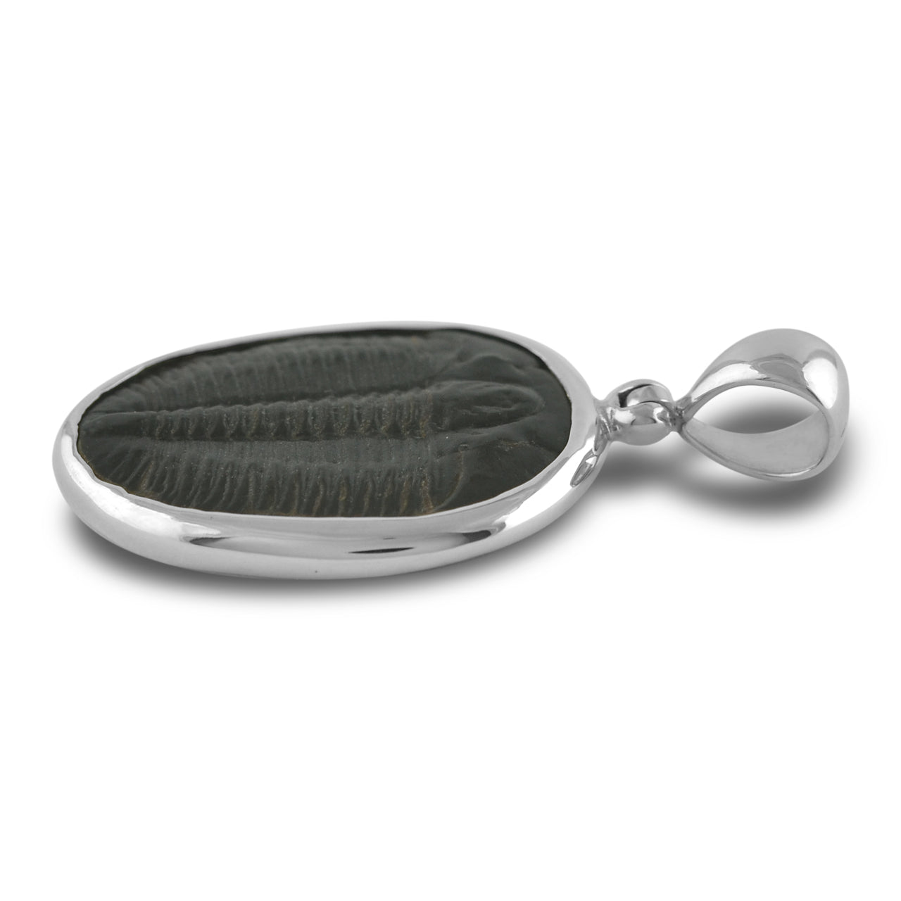 Starborn Fossilized Trilobite Bezel Set Pendant in Sterling Silver