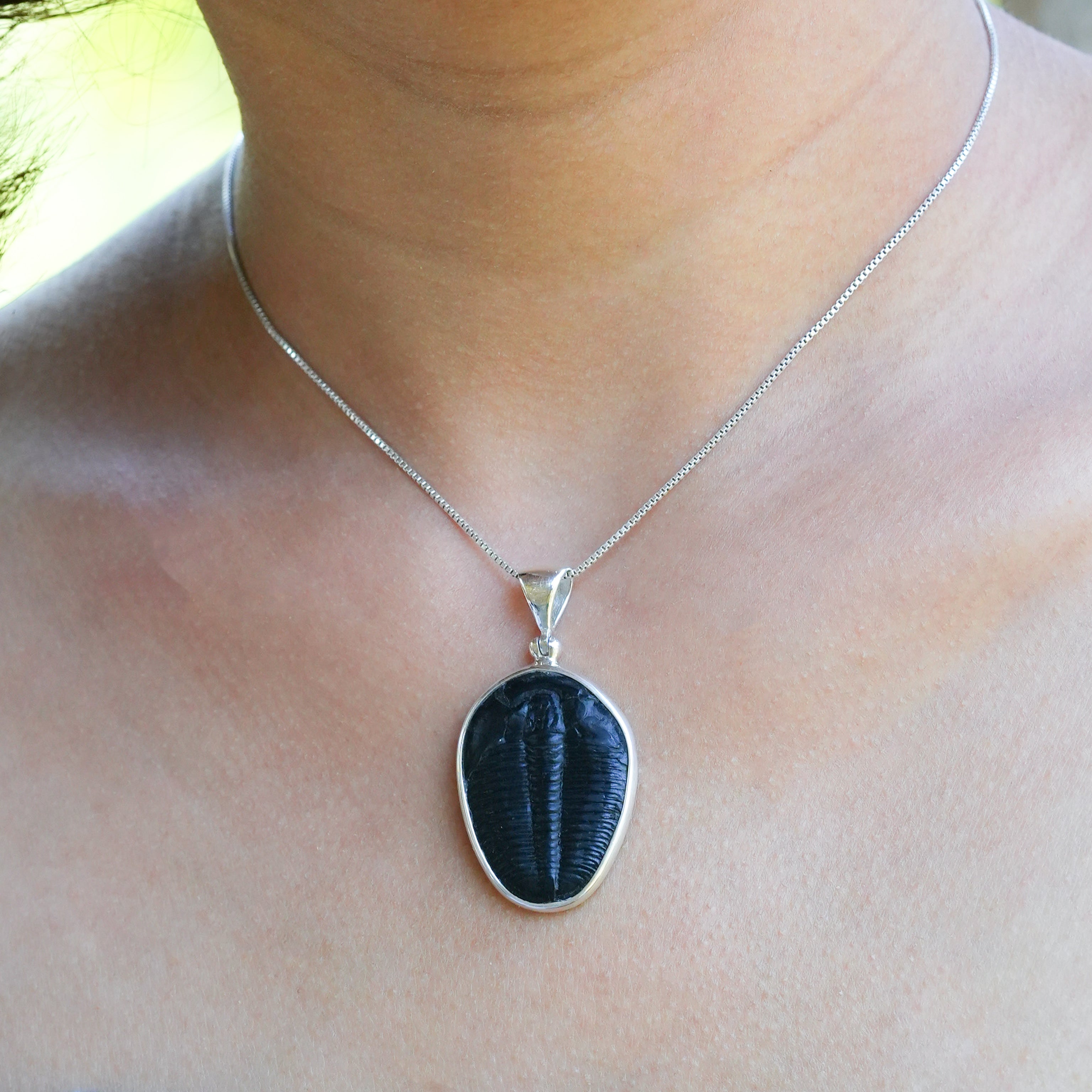 Starborn Fossilized Trilobite Bezel Set Pendant in Sterling Silver