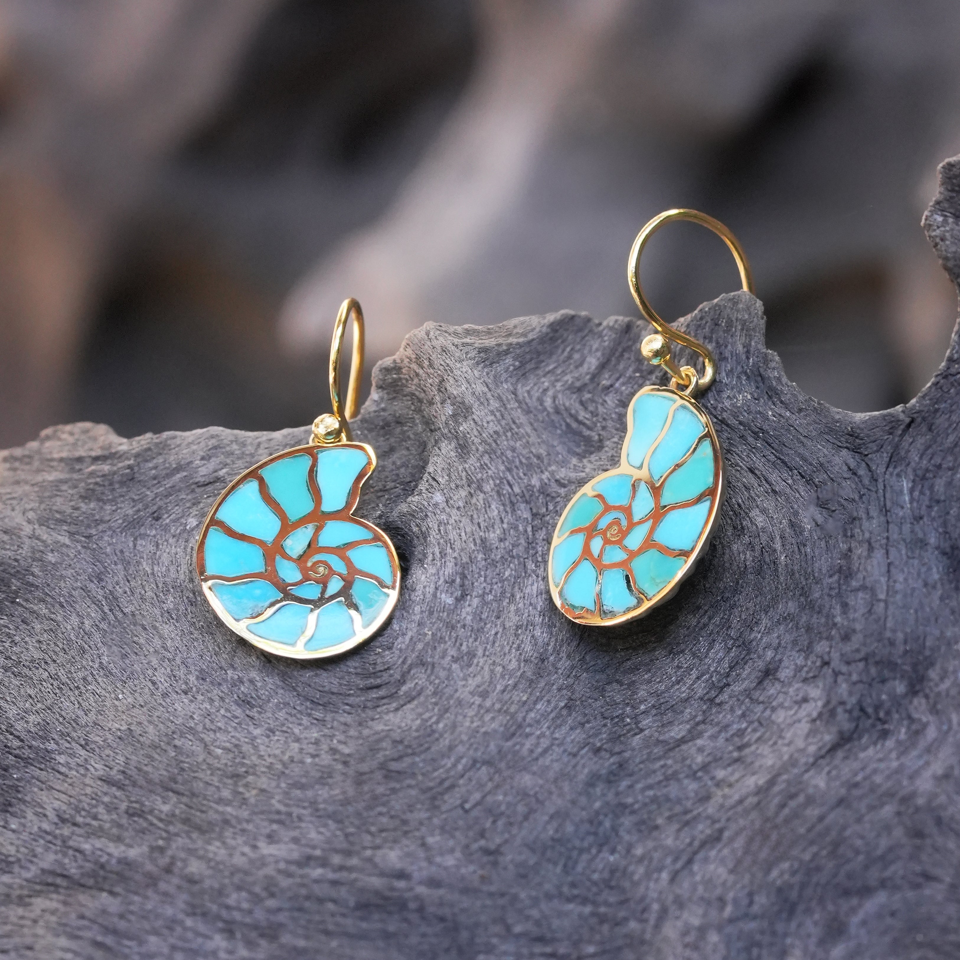 Starborn Nautilus Ammonite with Sleeping Beauty Turquoise Inlay Earrings
