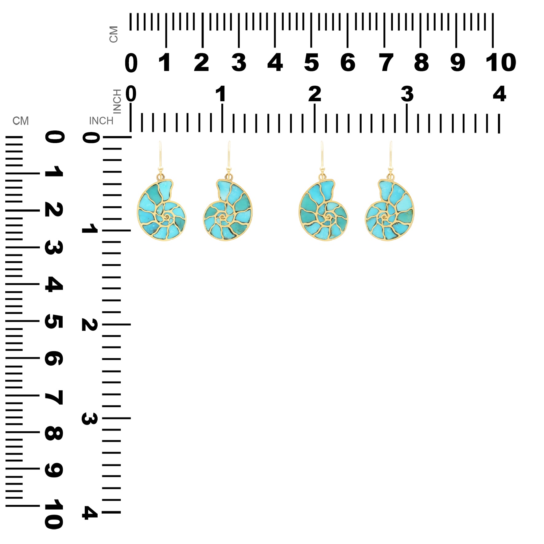 Starborn Nautilus Ammonite with Sleeping Beauty Turquoise Inlay Earrings
