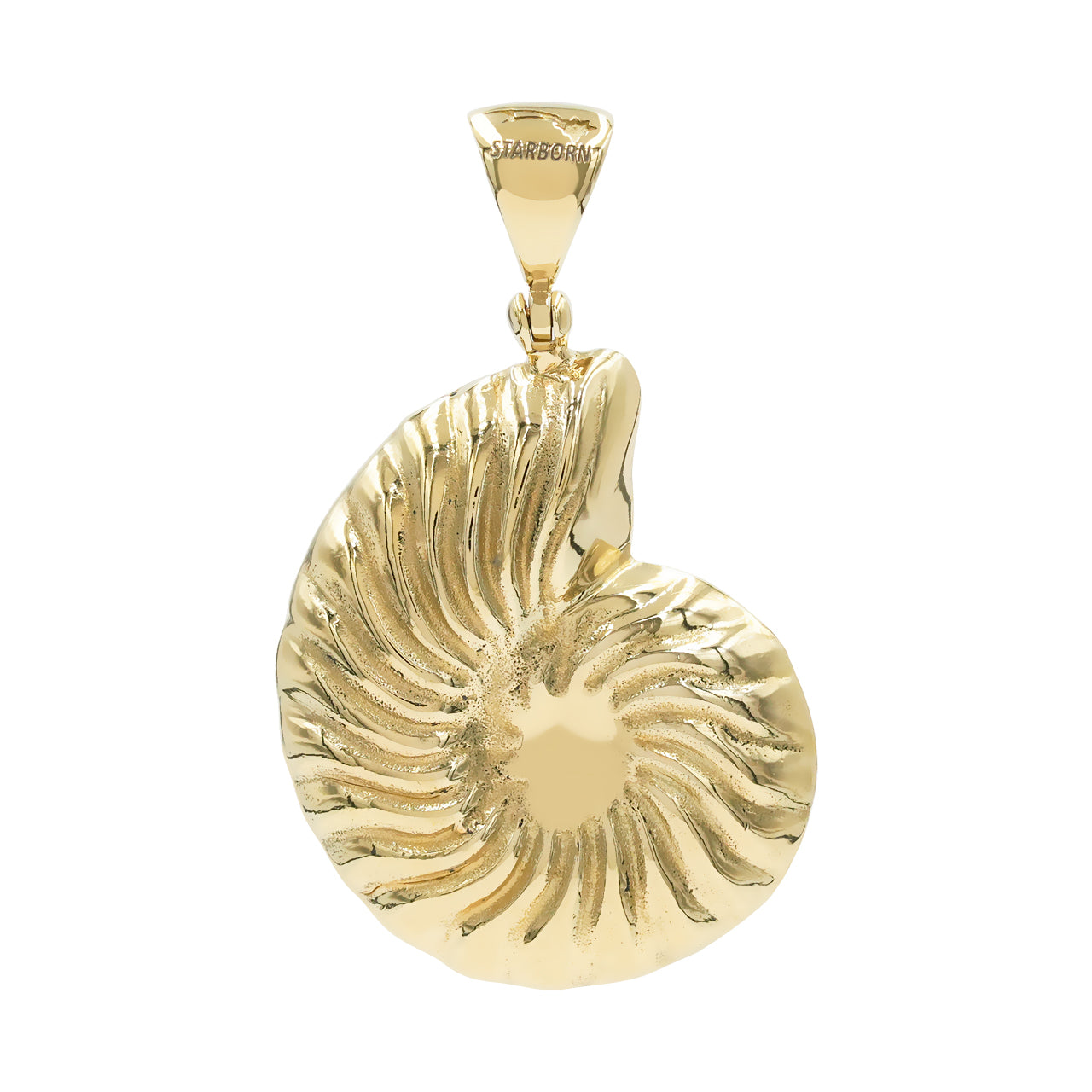 Colgante de amonita nautilus con incrustaciones de turquesa "La Bella Durmiente" Starborn en plata de ley