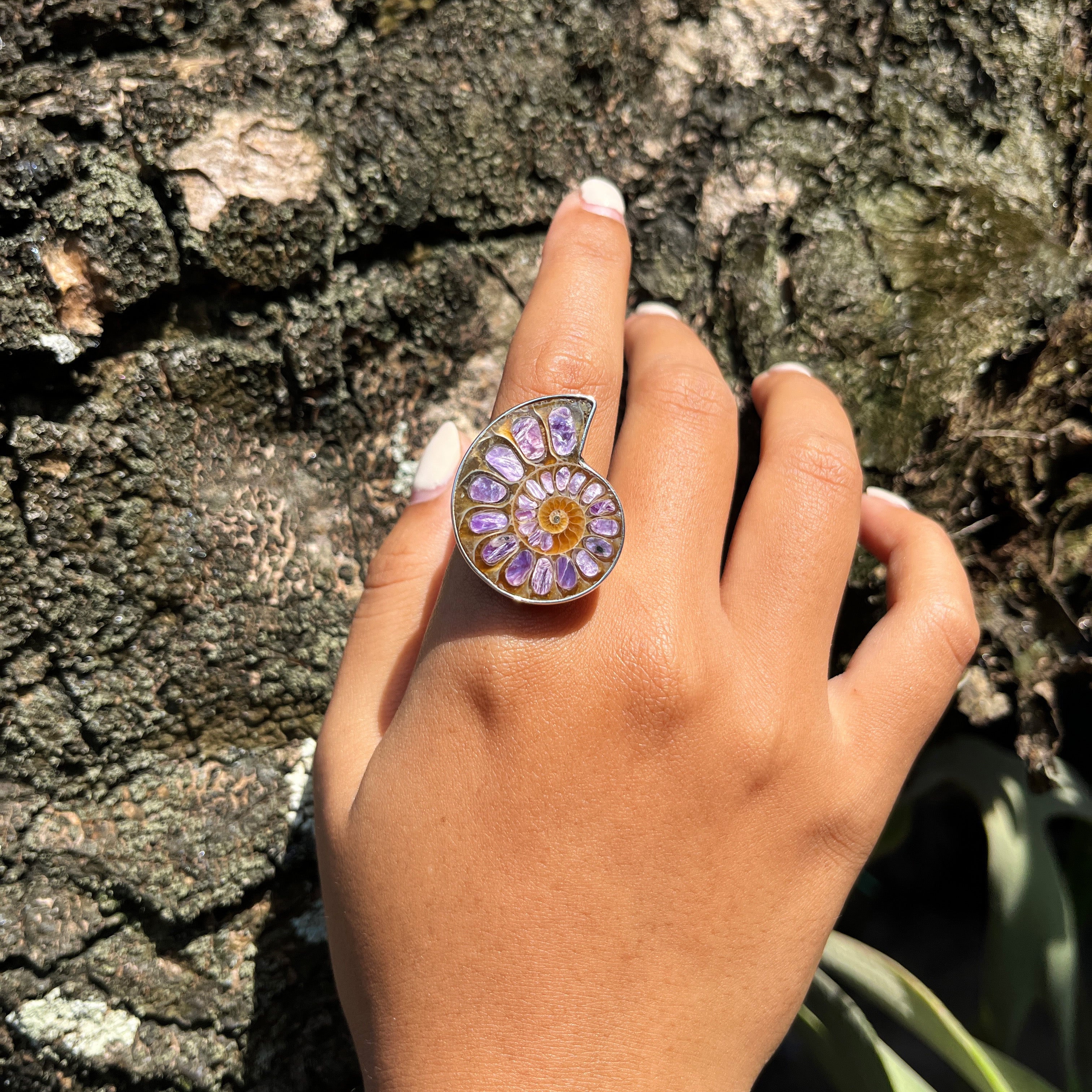 Starborn Ammonite with Charoite Inlay Ring in Sterling Silver - Size 7