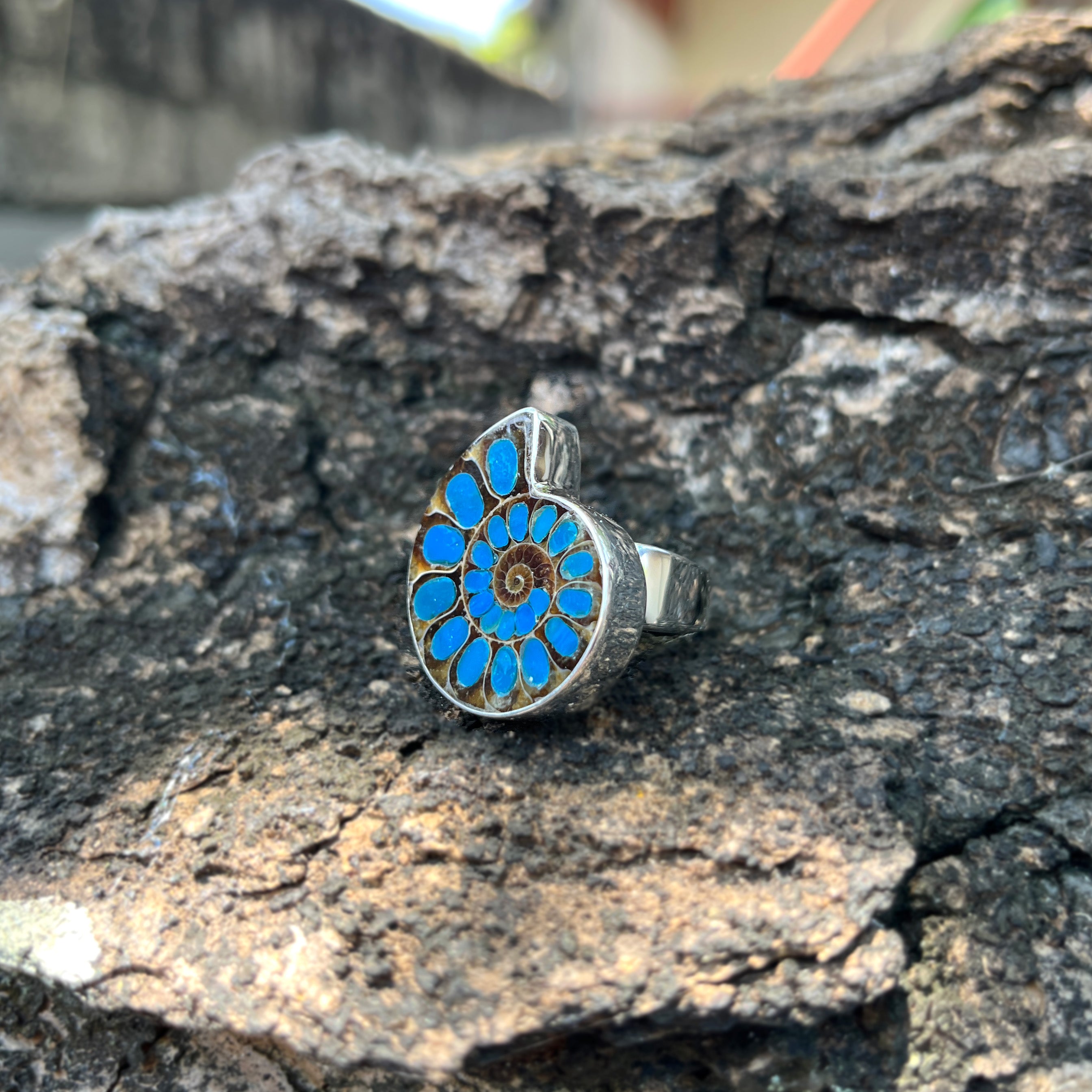 Starborn Ammonite with Peruvian Blue Opal Inlay Ring in Sterling Silver - Size 9