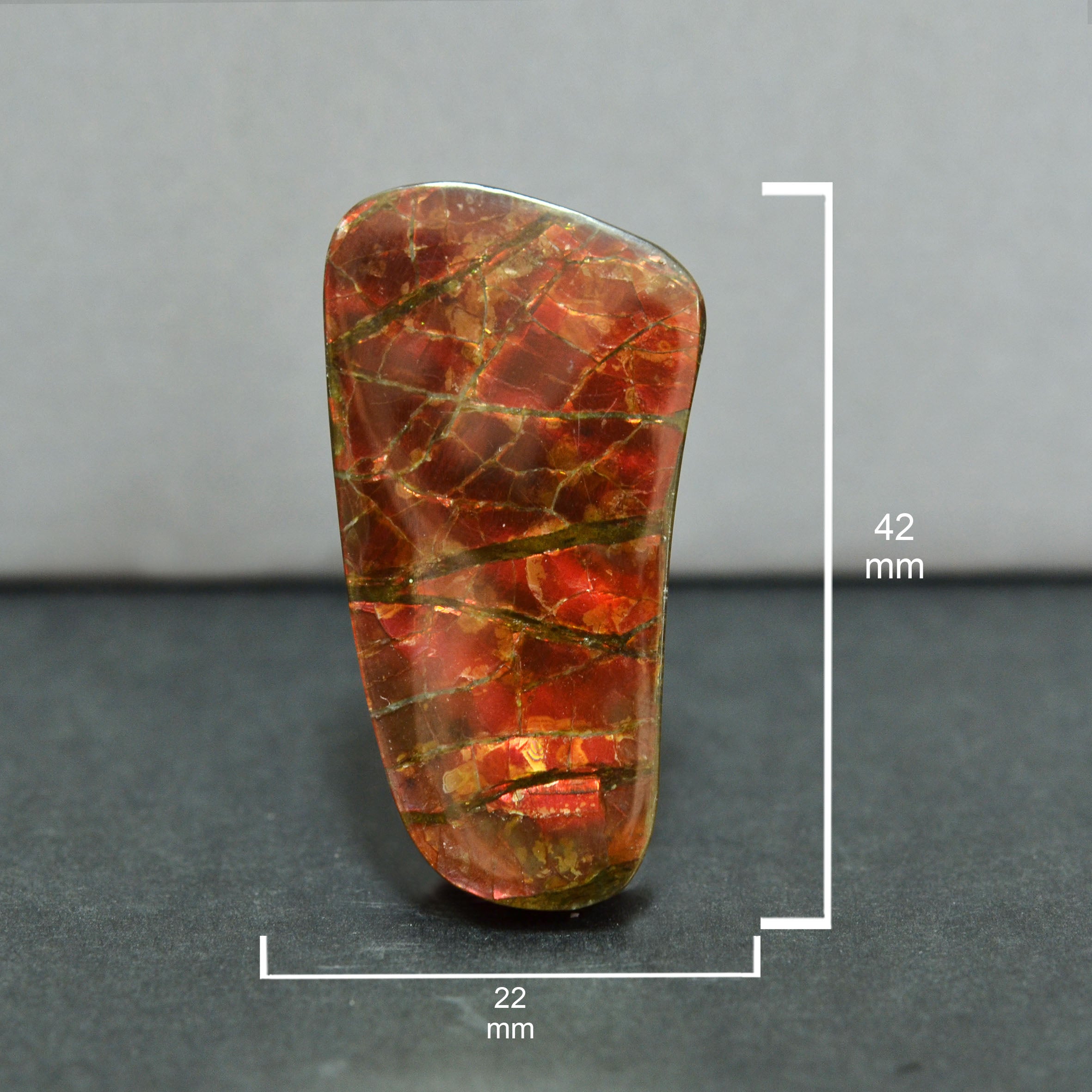 Starborn Ammolite Free-Form Cabochon 42 mm - 1 Piece